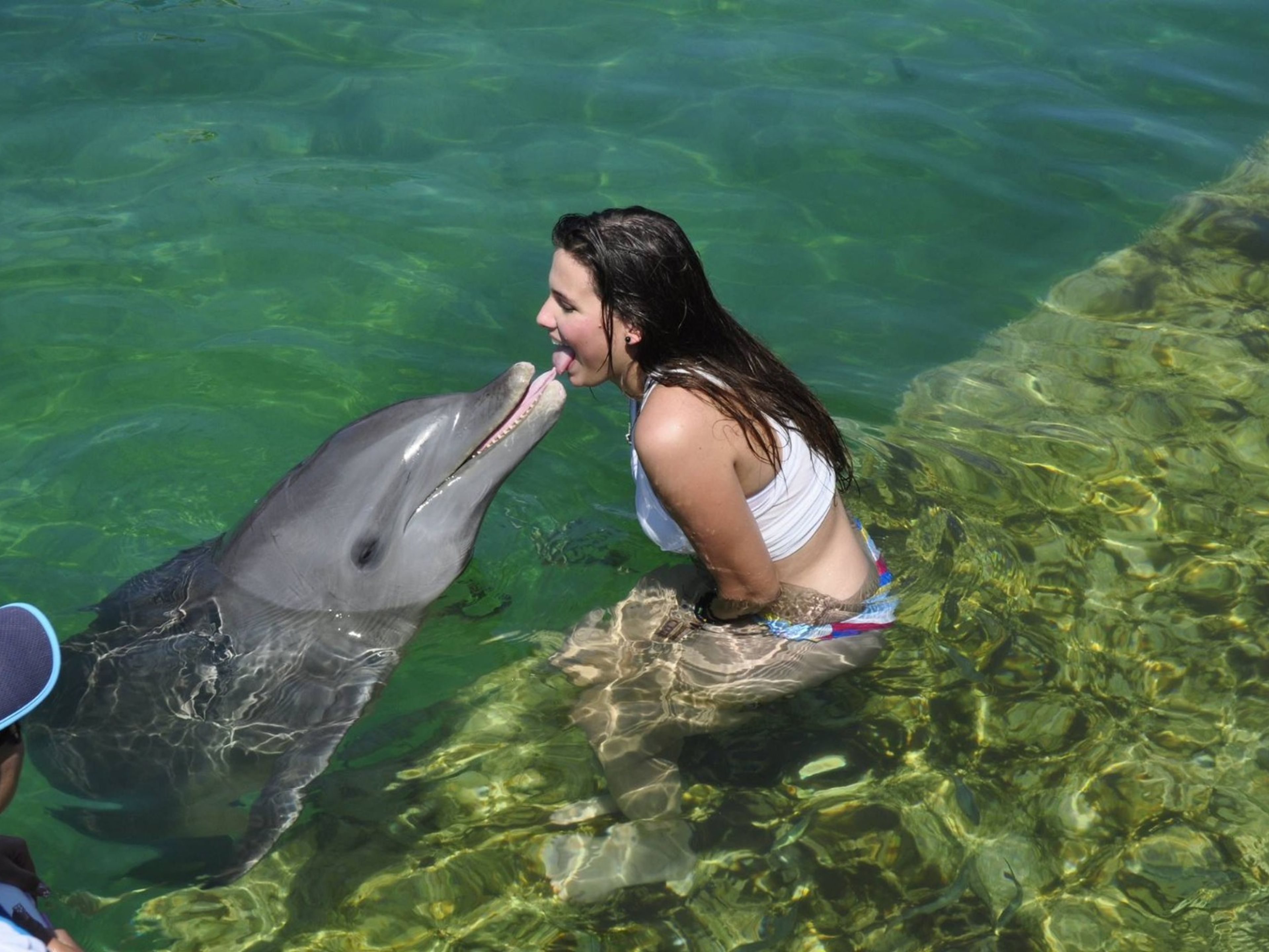 Тур "СЬЕНФУЭГОС - ЛАГУНА ГУАНАРОКА - ДЕЛЬФИНАРИЙ". Dolphinarium, Cienfuegos city.