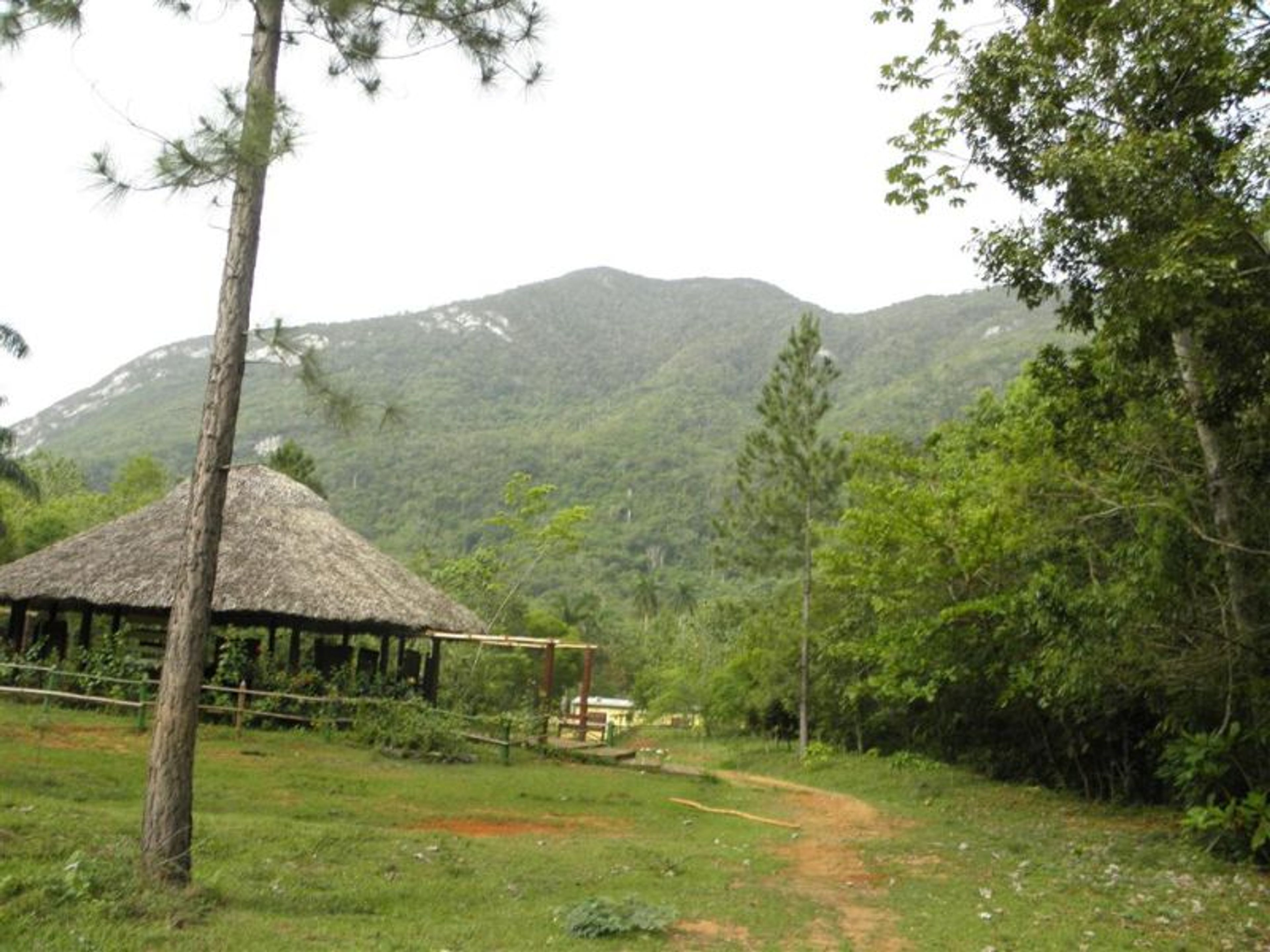 “TO THE VALLEY OF THE MILLS AND THE ALTURAS DE BANAO ECOLOGICAL NATURE RESERVE” Tour. Alturas de Banao Natural Park panoramic view, “To the Valley of the Mills and the Alturas de Banao Ecological Nature Reserve”