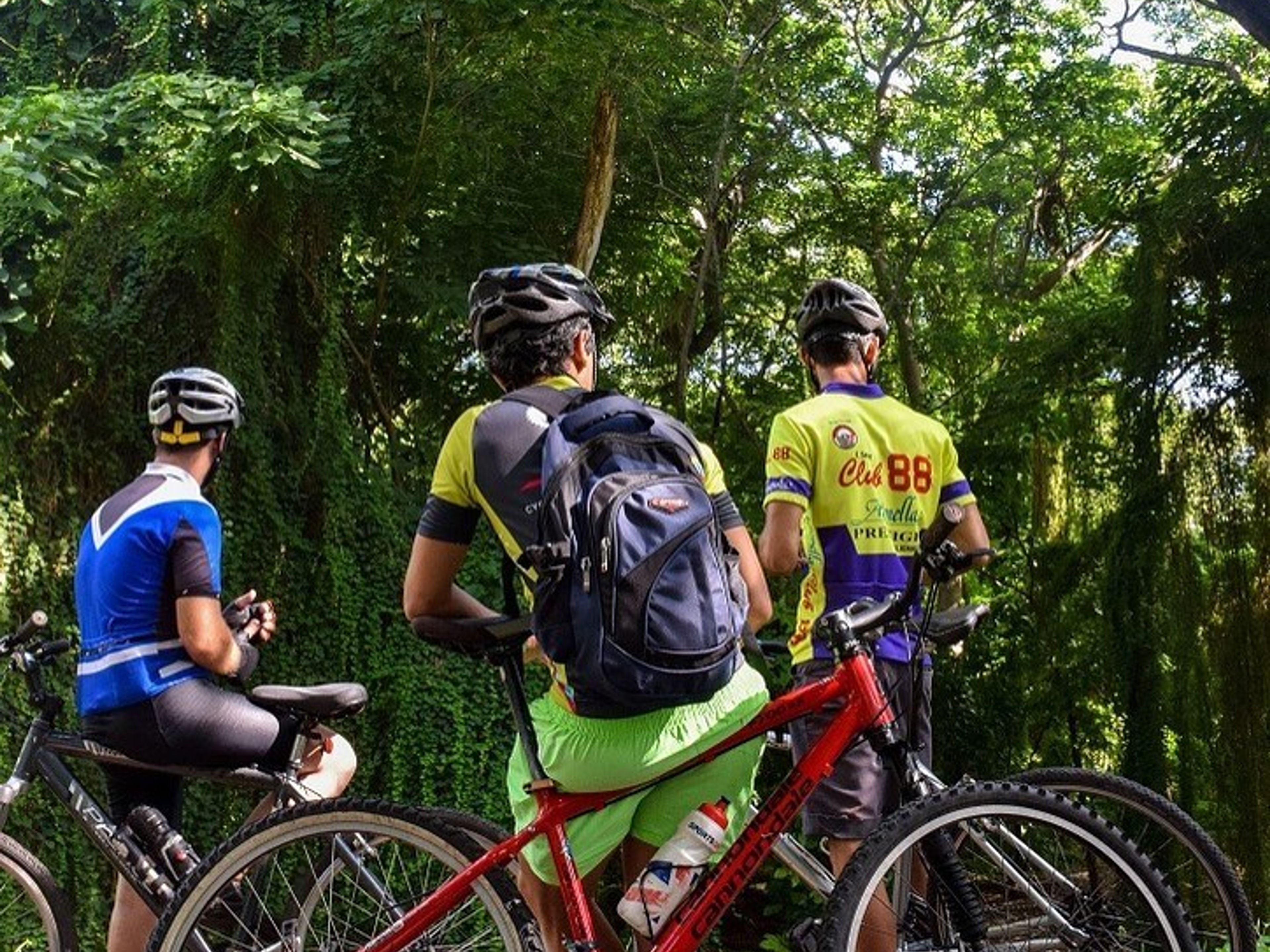 “ECOLOGICAL HAVANA” Cycling tour. El Bosque de La Habana panoramic view, Nuevo Vedado, Havana, Cuba.