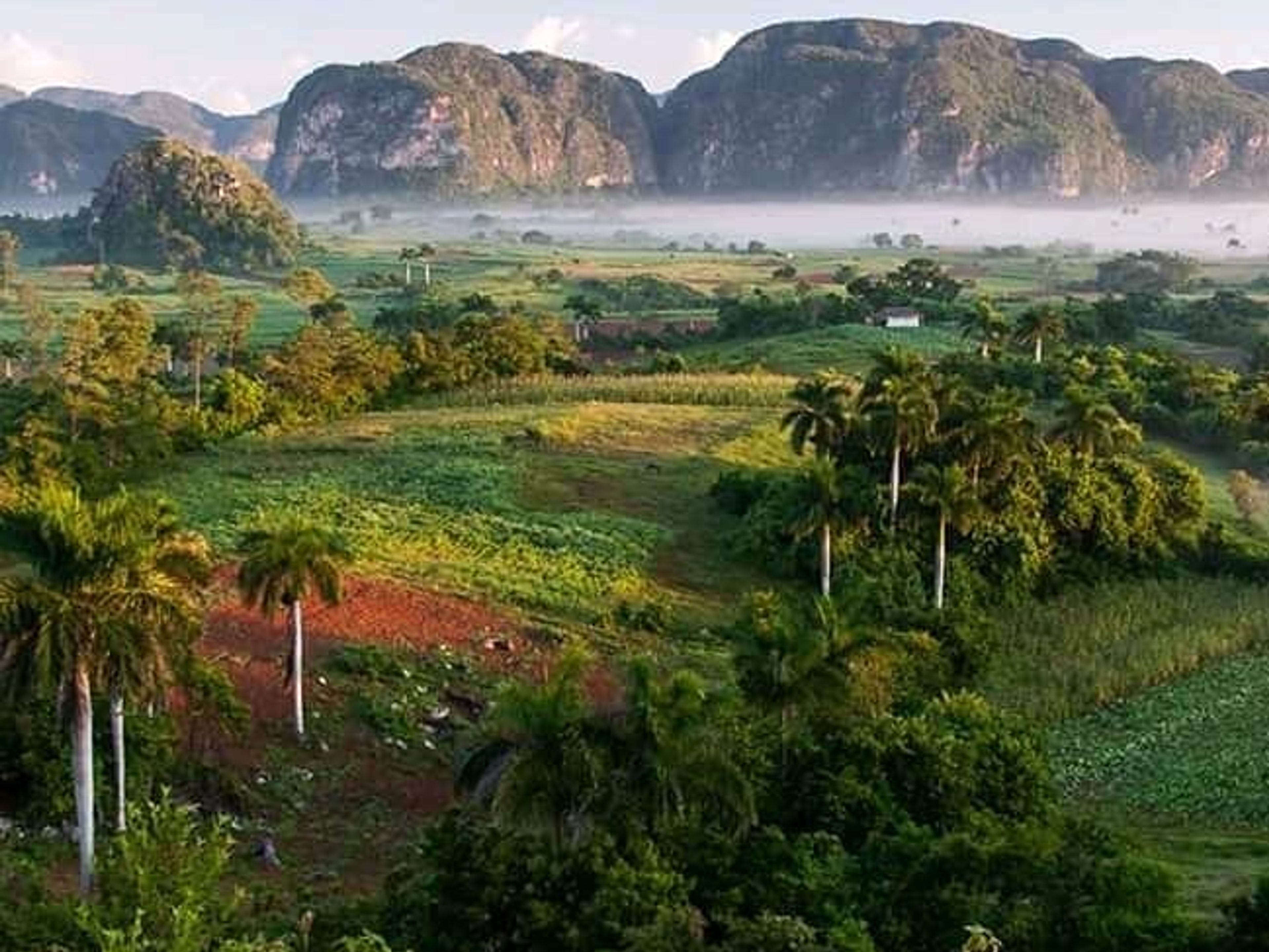 Tour "GIRO TUTTO INCLUSO NELLA VALLE DI VIÑALES". The Viñales Valley panoramic view, UNESCO World Heritage Site, Viñales, Pinar del Río, Cuba.