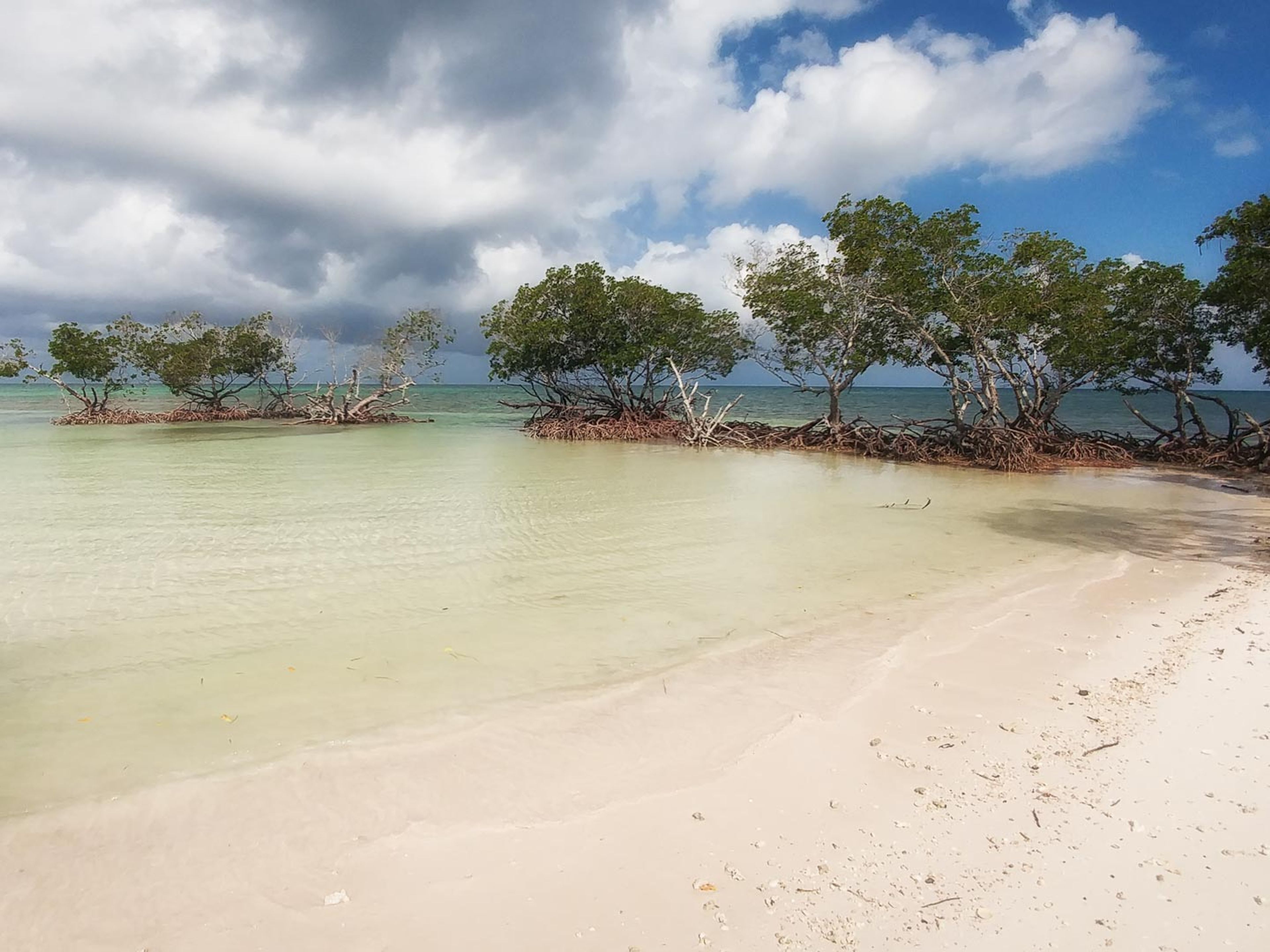 Tour "À CAYO JUTIAS". "TO CAYO JUTIAS" Tour, Pinar del Río, Cuba.