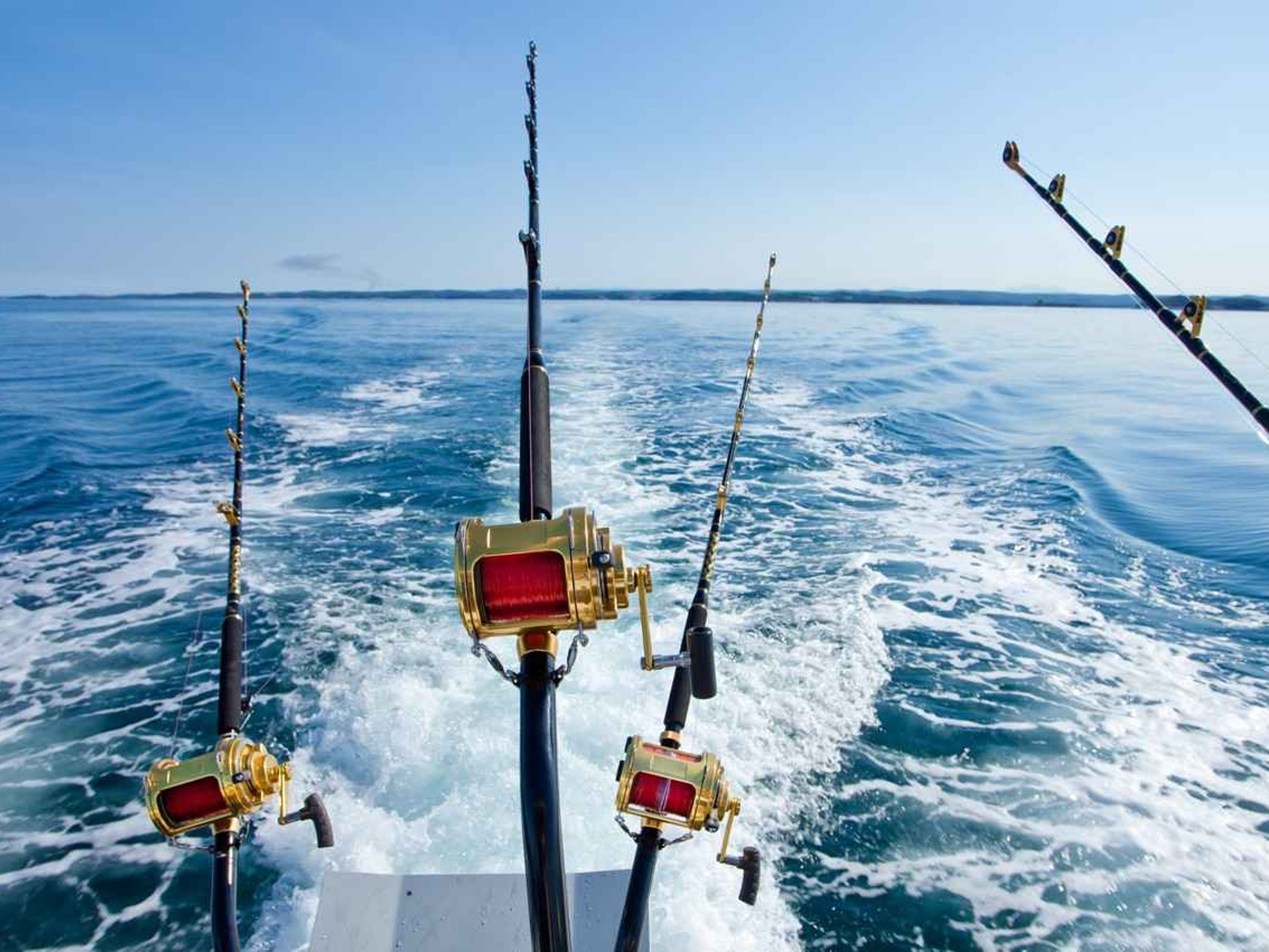 "HOCHSEEFISCHEN IN CAYO LARGO DEL SUR" Tour. “Deep Sea Fishing Tour in Cayo Largo del Sur”