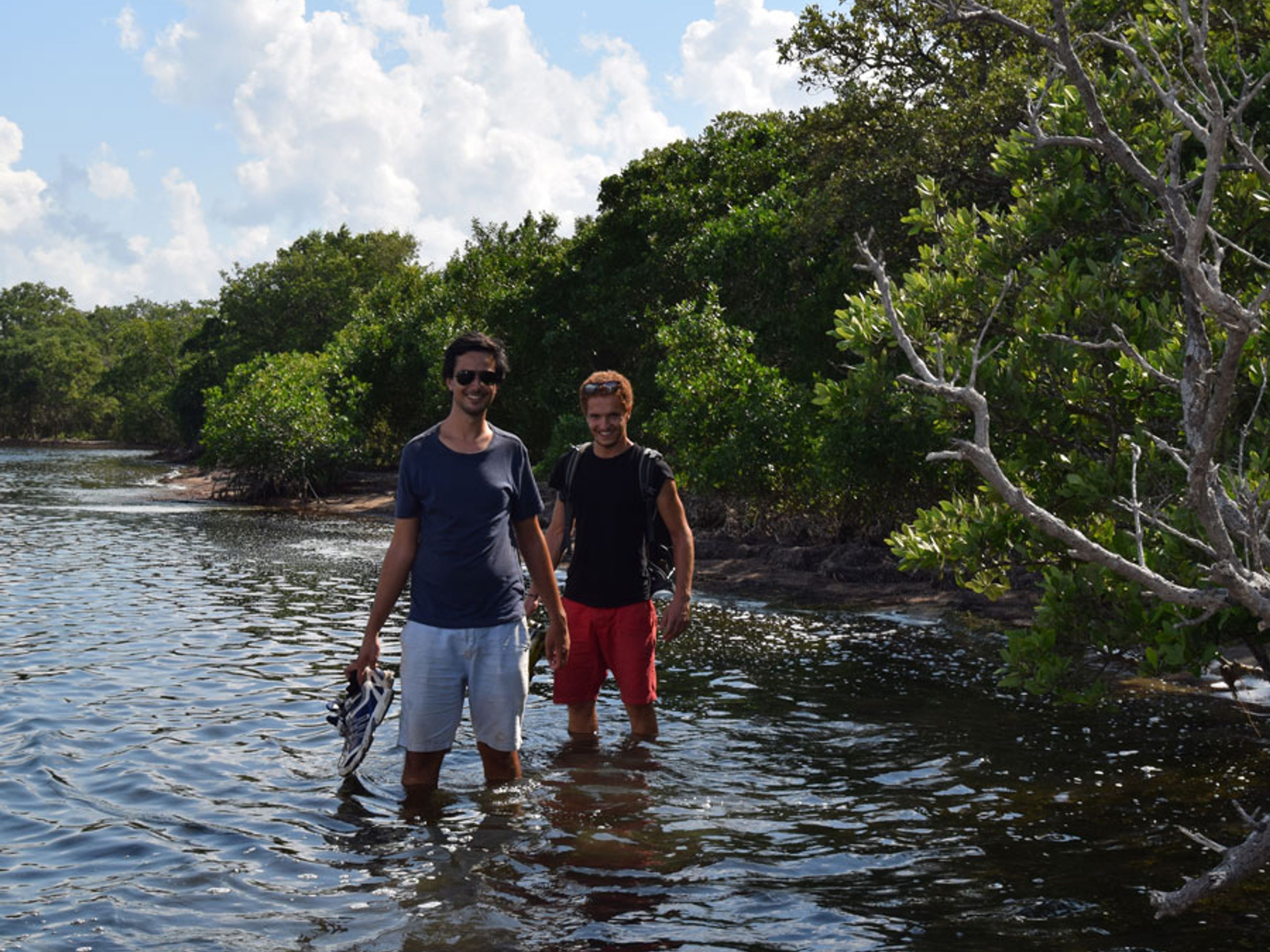"Отслеживание тура Пираты, трек через мангры". Tracking the pirates, A trek through mangroves tour, Camagüey