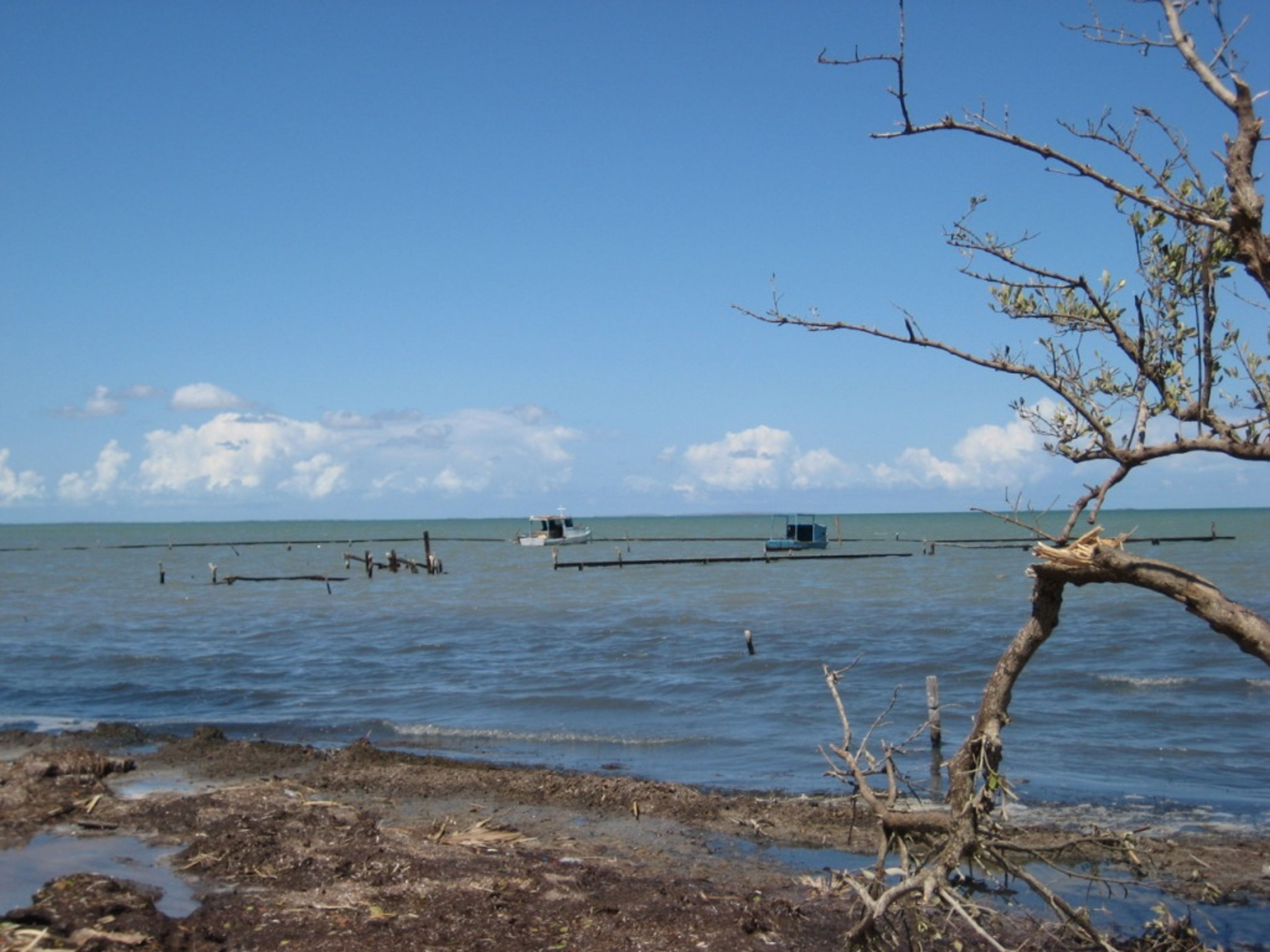 Tour "Monitoraggio dei pirati, un viaggio attraverso le mangrovie". Tracking the pirates, A trek through mangroves tour, Camagüey