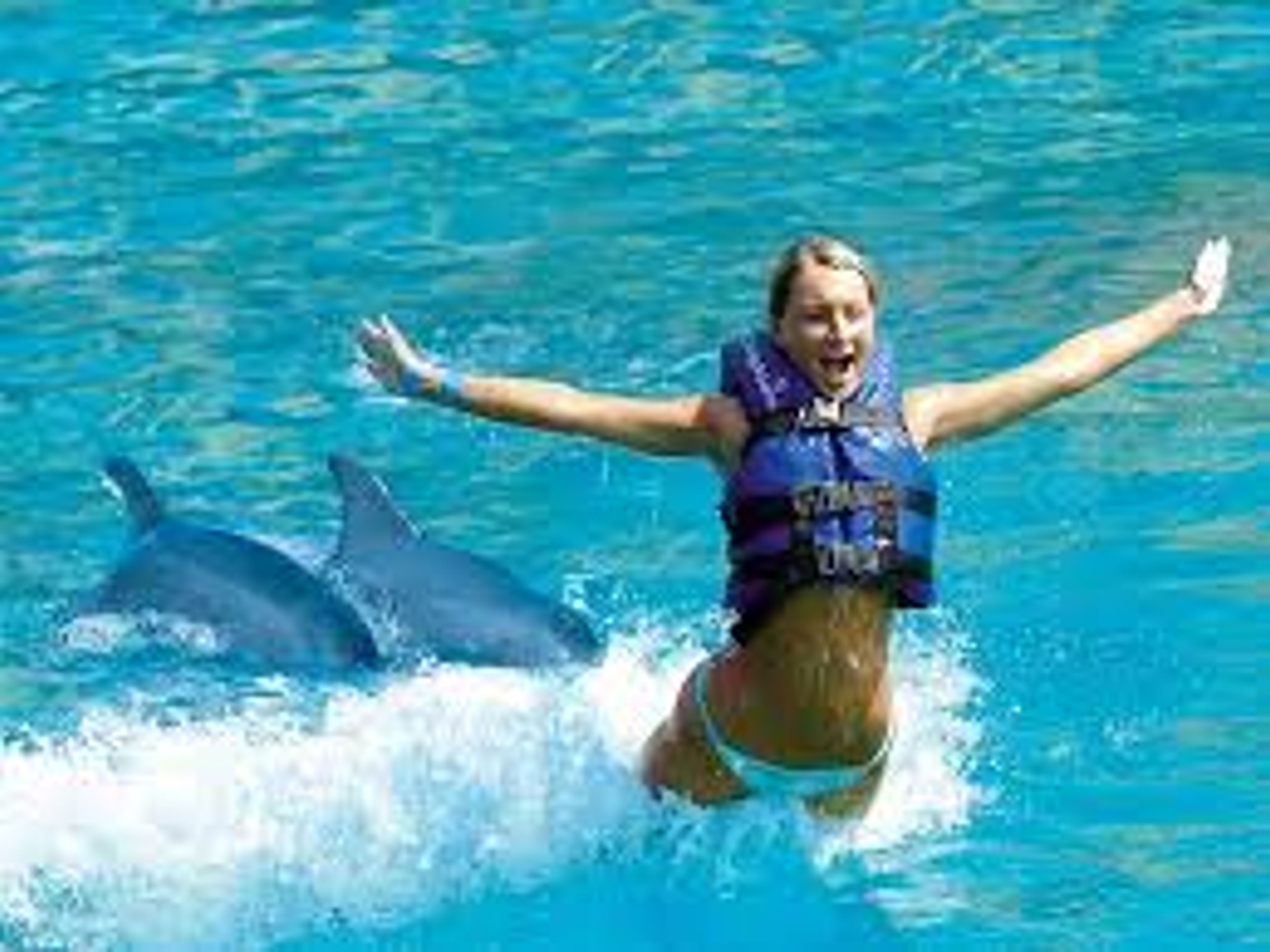 Excursão "Golfinhos Interax em Xel Há". Swim with dolphins in Xel-Ha Park, a fun and exciting experience in Cancun, Yucatan Peninsula. Mexico.