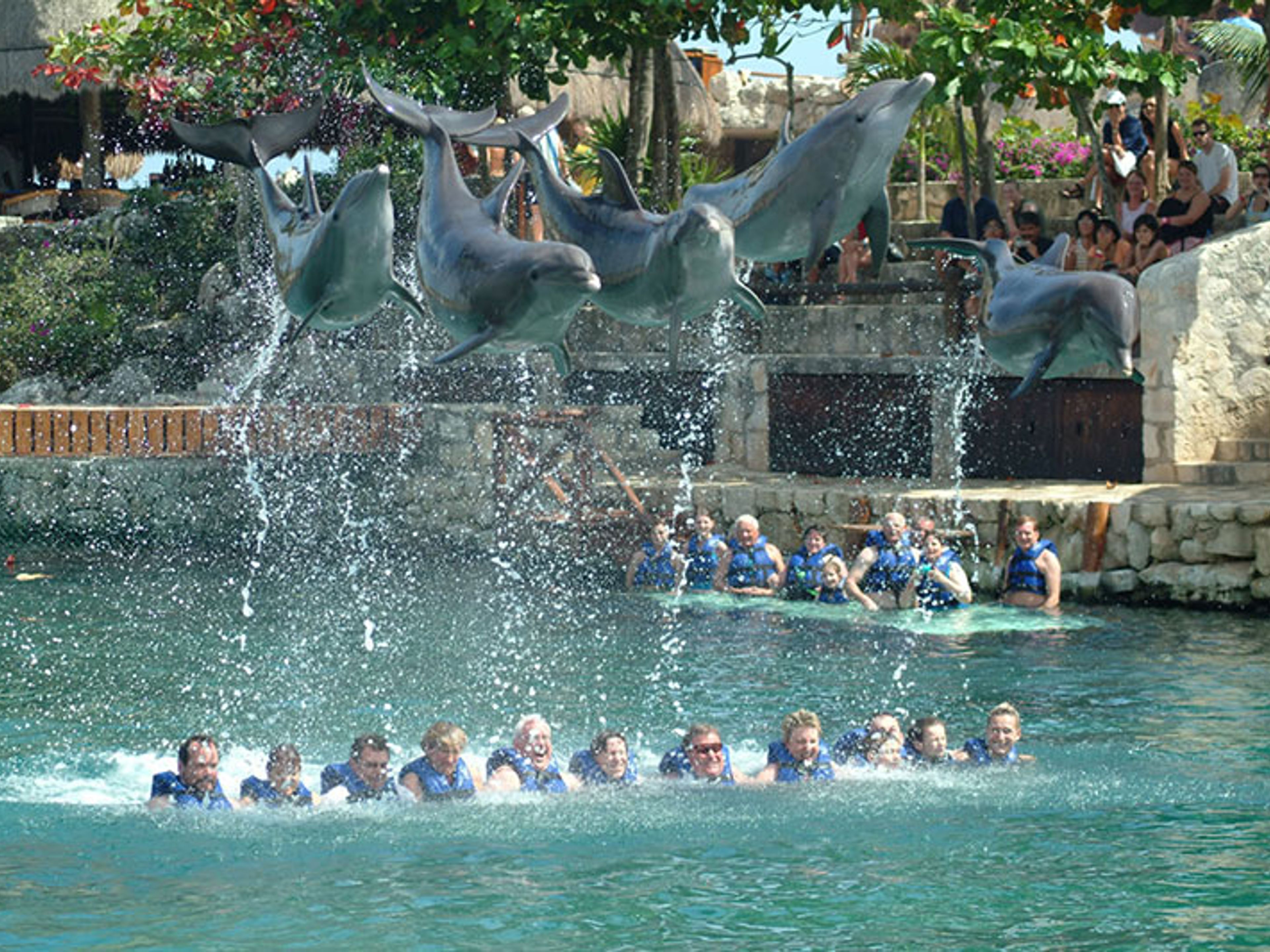 Excursão "Golfinhos Interax em Xel Há". Swim with dolphins in Xel-Ha Park, a fun and exciting experience in Cancun, Yucatan Peninsula. Mexico.