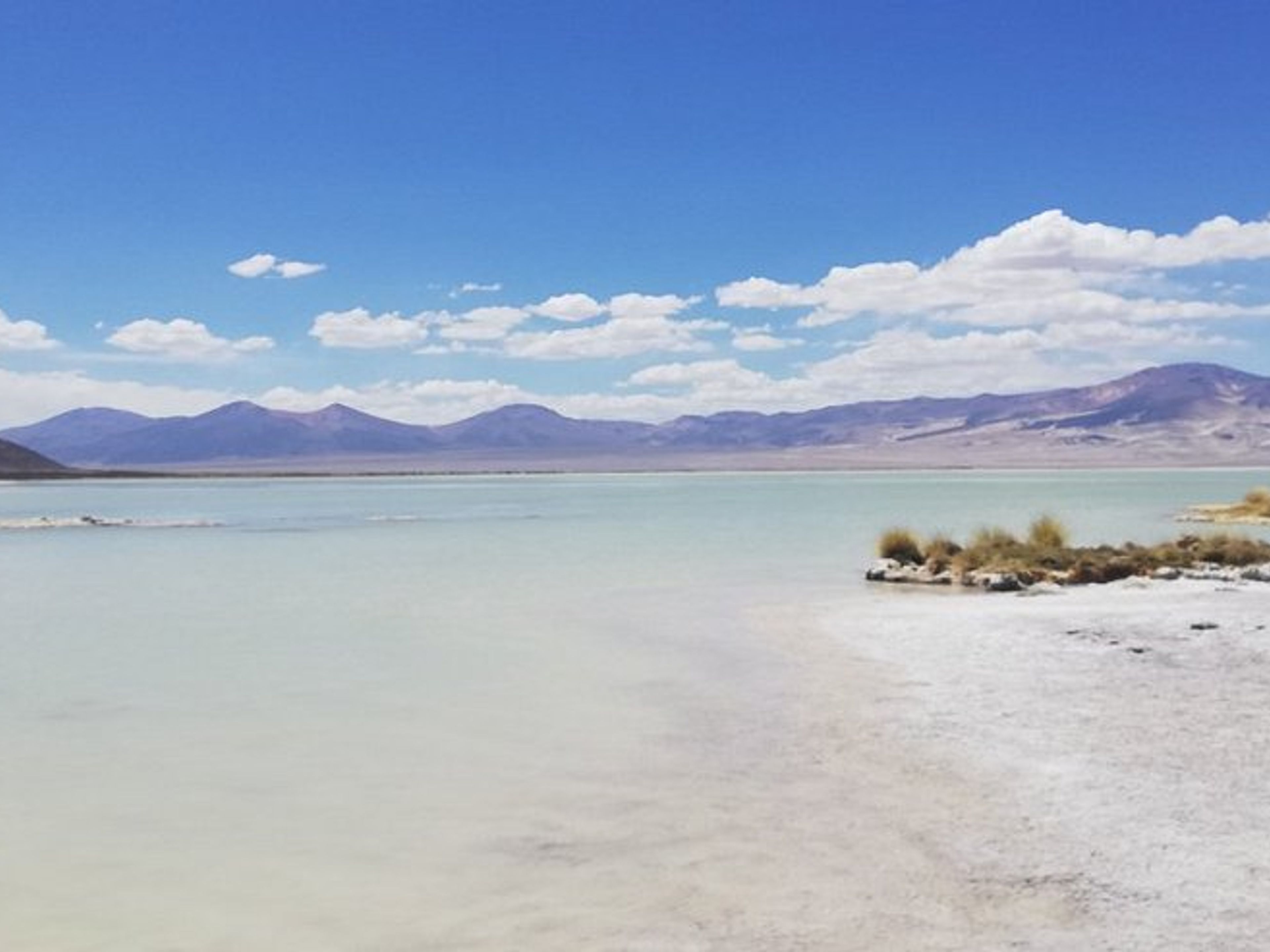 Tour ”SALAR DE HUASCO, SOURCES THERMALES DE LIRIMA ET L'OASIS DE PICA”. null