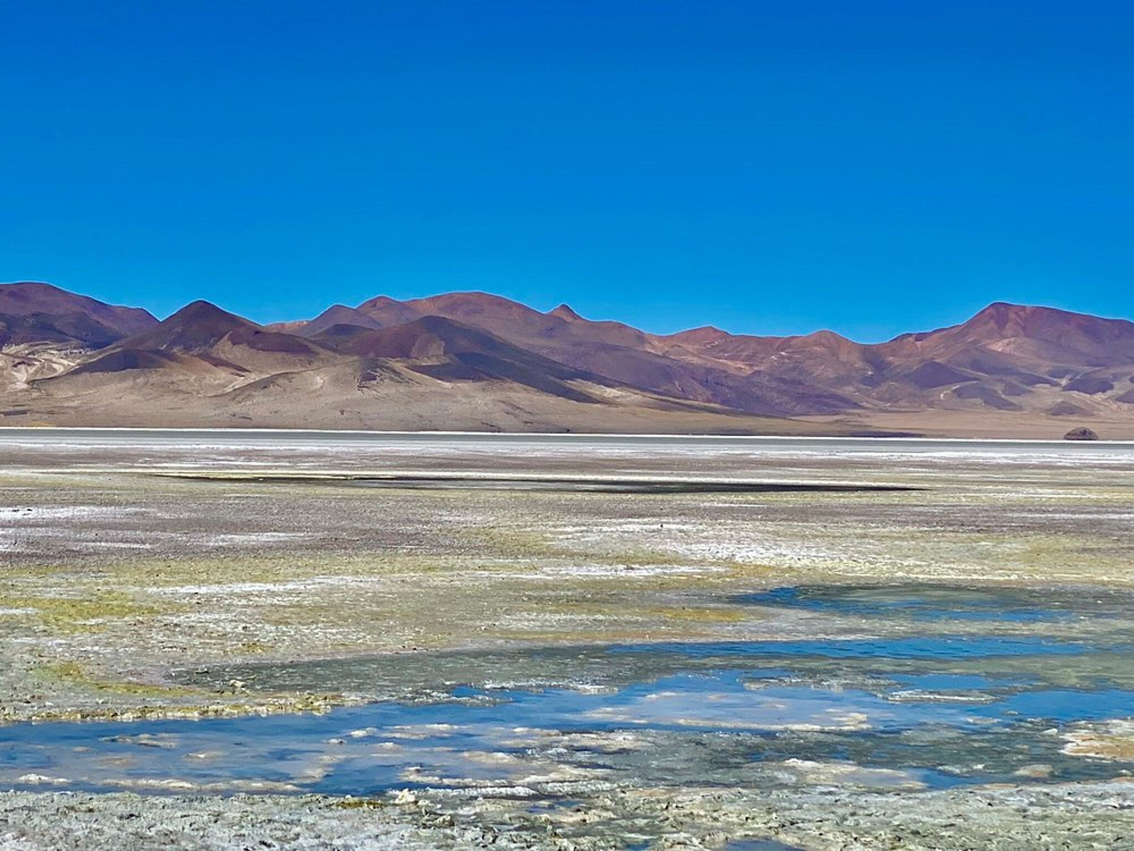 Tour ”SALAR DE HUASCO, SOURCES THERMALES DE LIRIMA ET L'OASIS DE PICA”. null