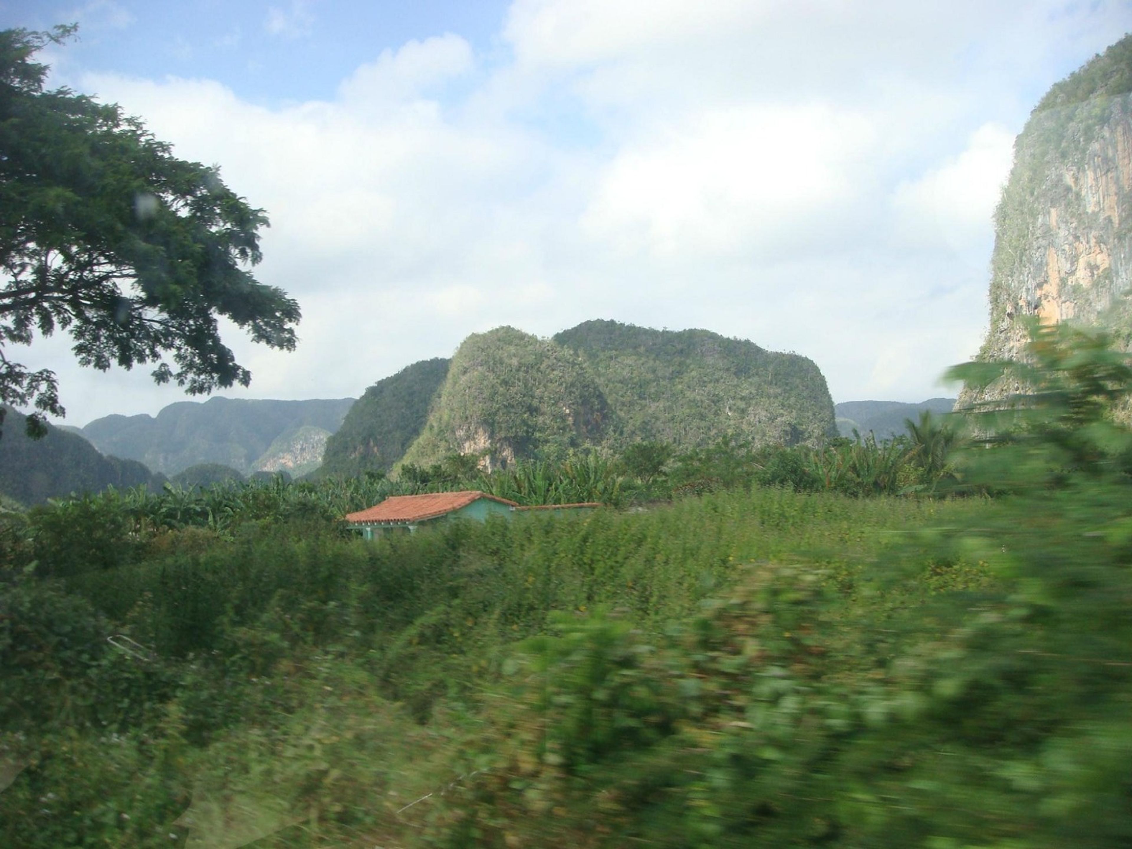 “SAN VICENTE - ANCÓN TRAIL IN THE VIÑALES VALLEY” Tour. “SAN VICENTE - ANCÓN TRAIL IN THE VIÑALES VALLEY” Tour, Viñales, Pinar del Río, Cuba.