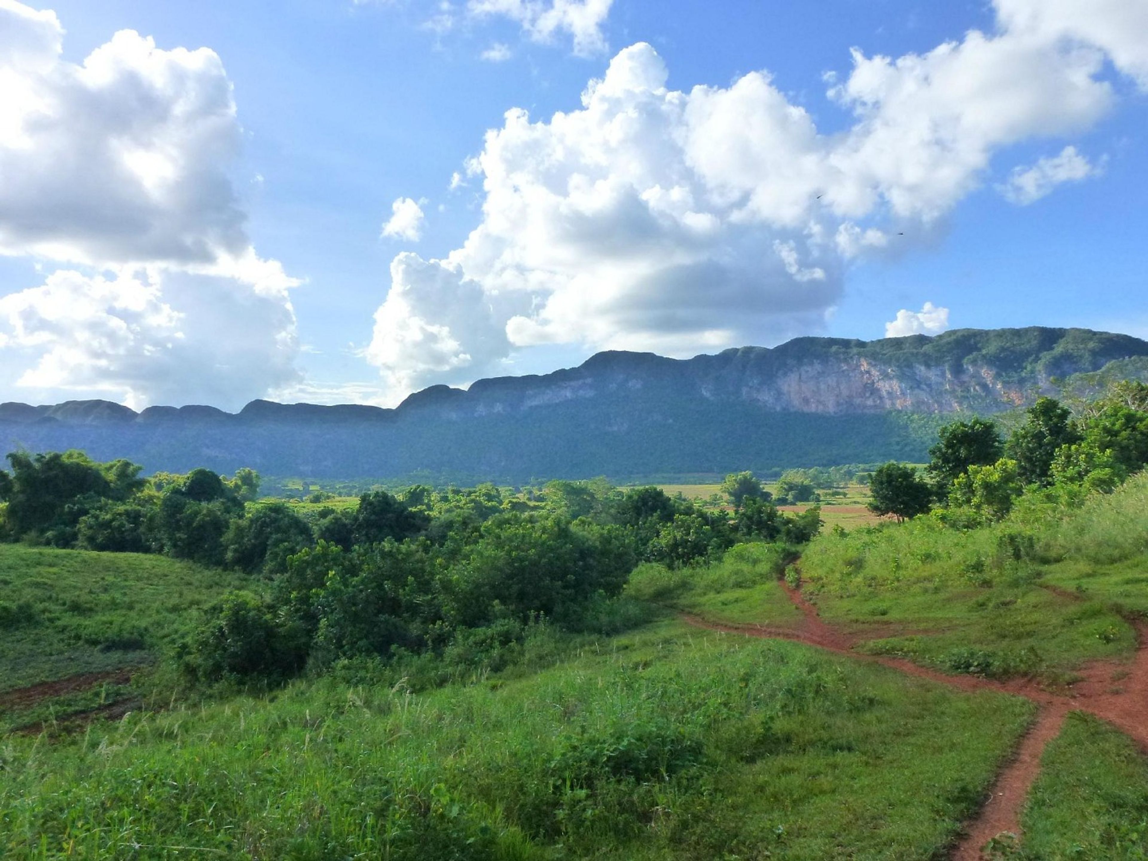 Tour "SENTIERO SAN VICENTE - ANCÓN NELLA VALLE DI VIÑALES". “SAN VICENTE - ANCÓN TRAIL IN THE VIÑALES VALLEY” Tour, Viñales, Pinar del Río, Cuba.