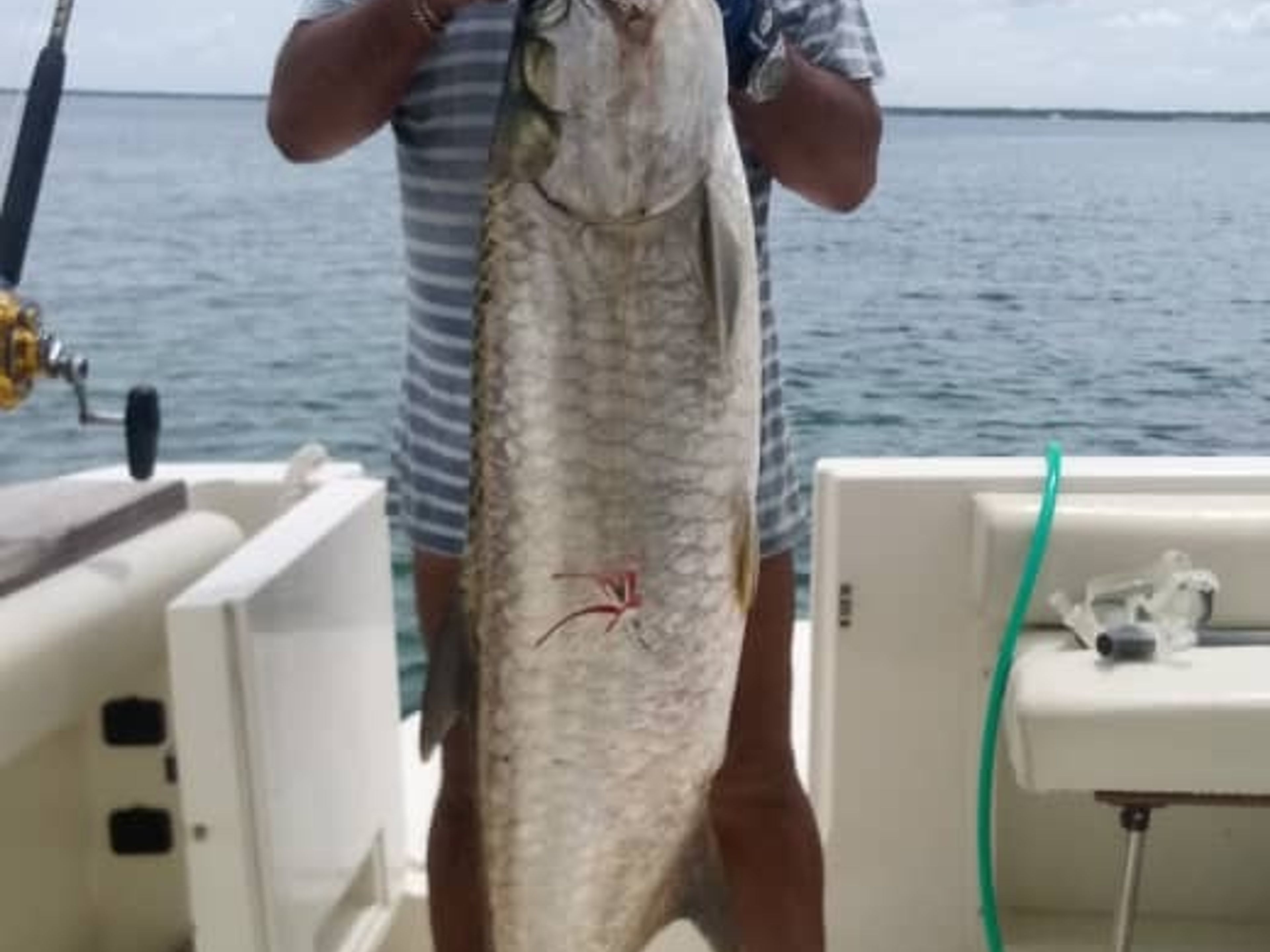 "FISHING SAFARI" Tour (HALB TAG). “FISHING SAFARI” Tour (HALF DAY), Guardalavaca beach, Holguín, Cuba.