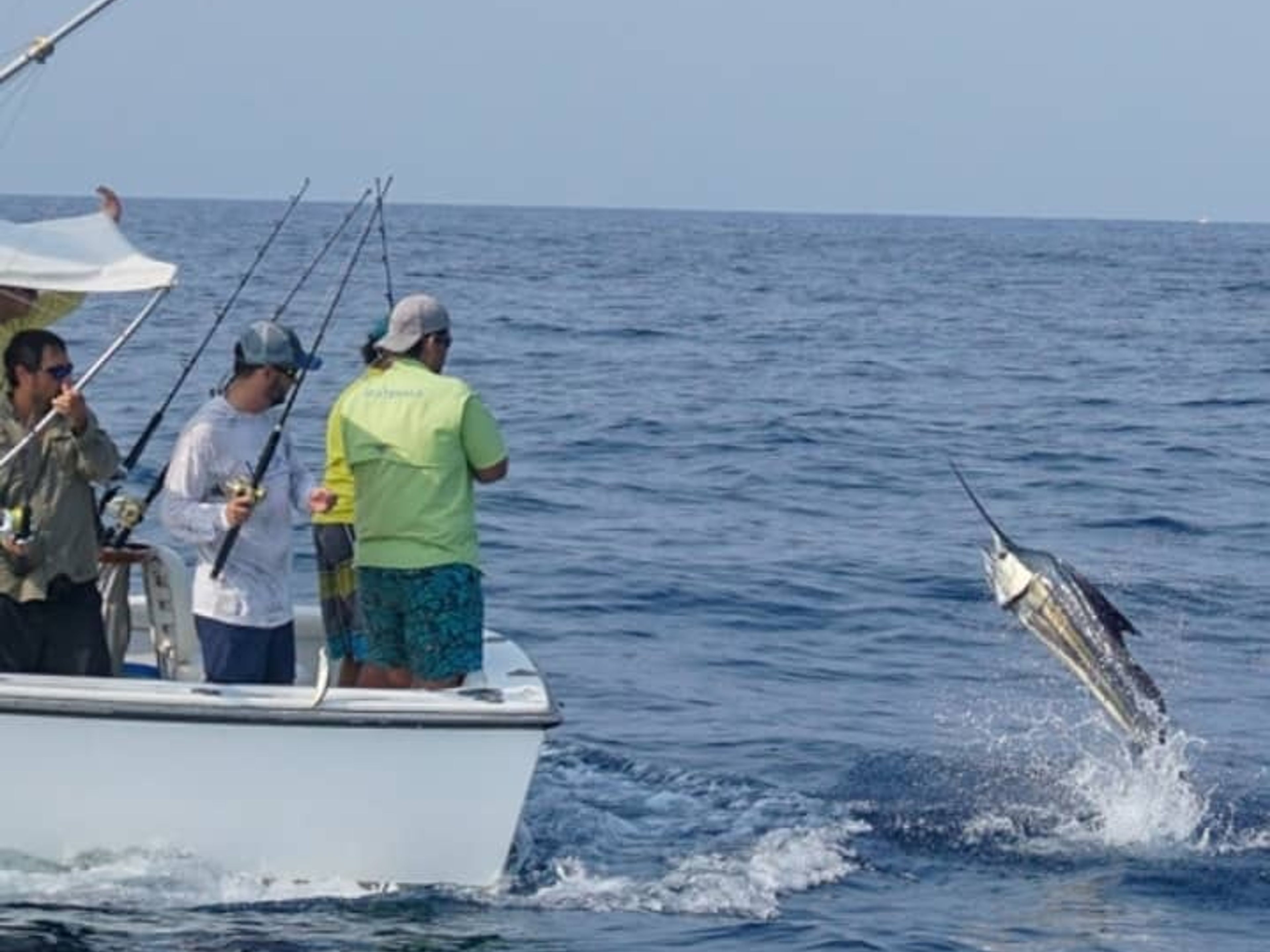 "FISHING SAFARI" Tour (HALB TAG). “FISHING SAFARI” Tour (HALF DAY), Guardalavaca beach, Holguín, Cuba.