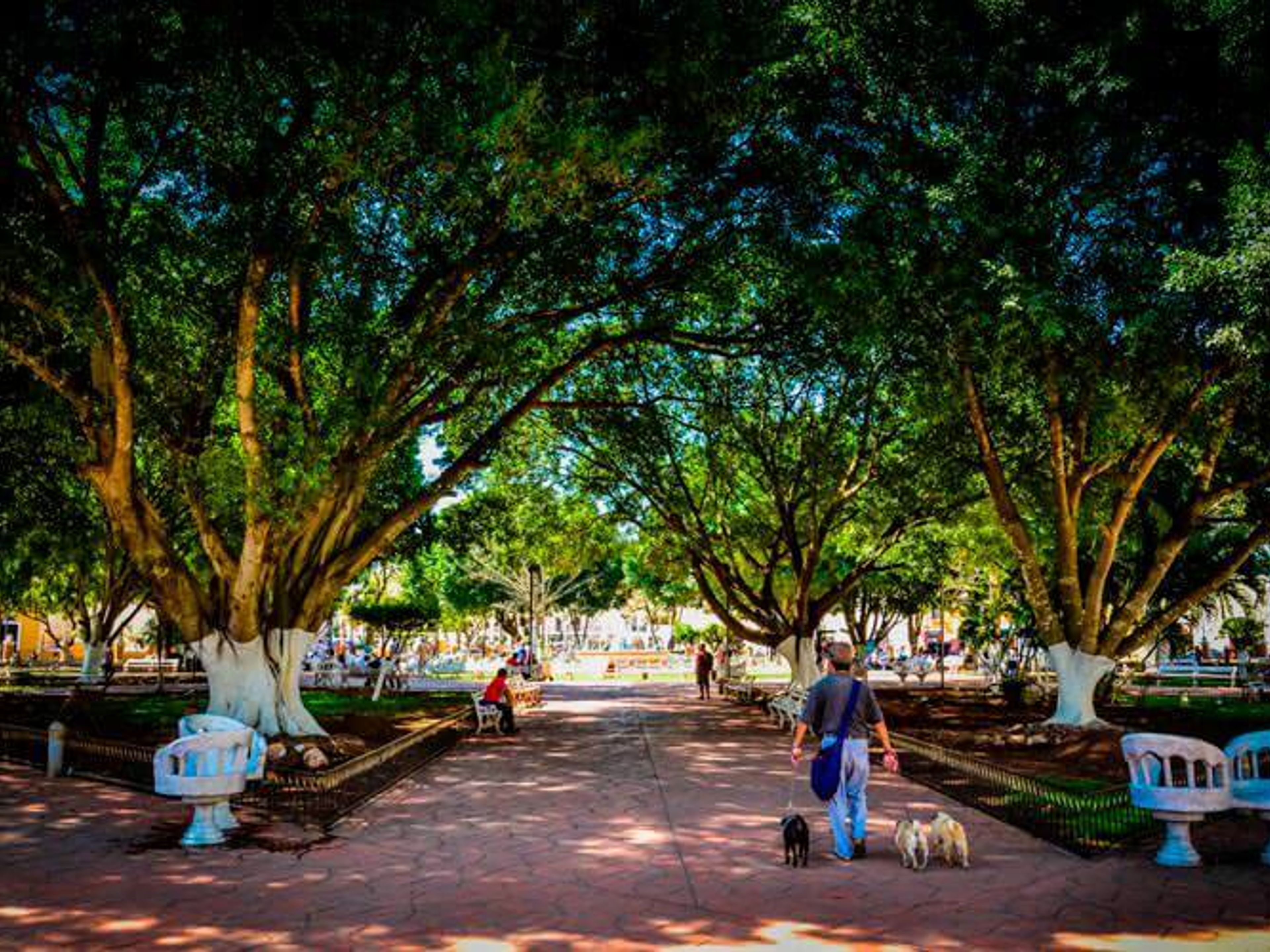 "Chichen Itza Plus" Tour. The colonial city of Valladolid, a magical stop in Chichen Itza, Cancun, Mexico.