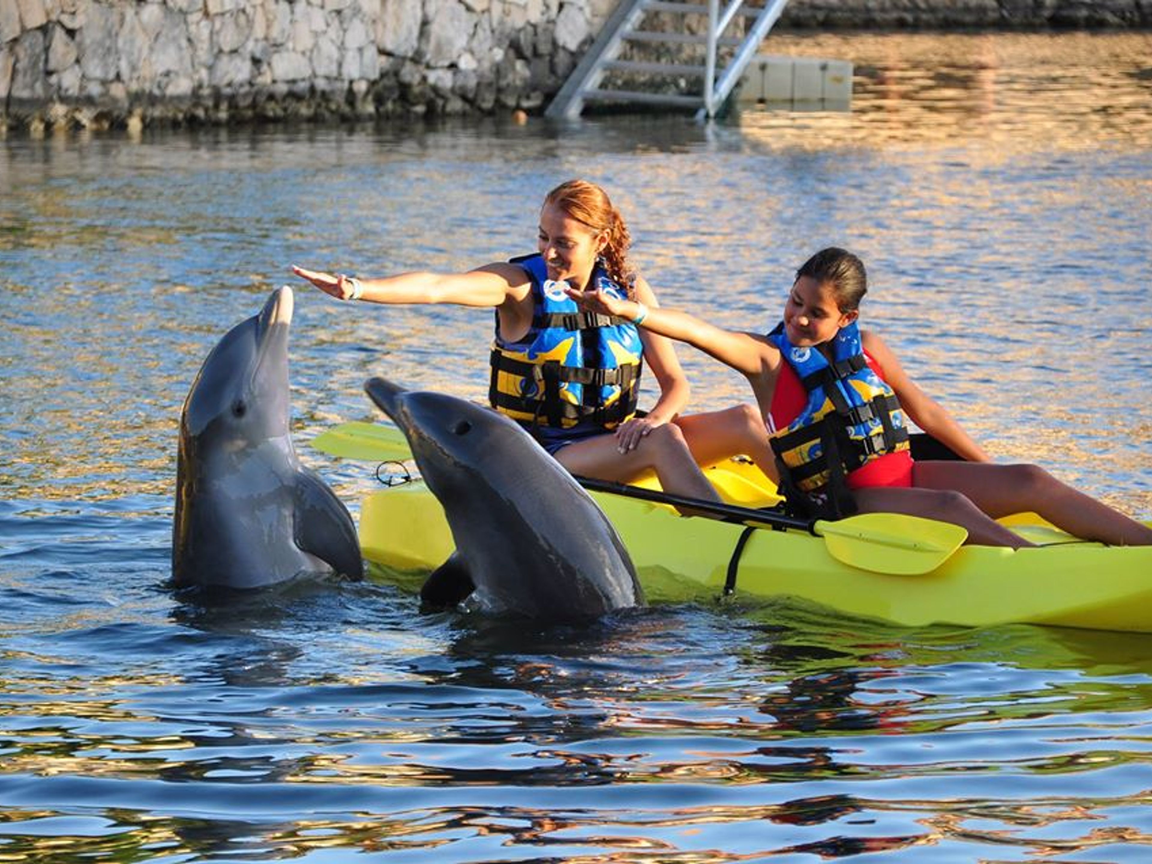 Excursão "Tulum + Swim Adventure Plus". Dolphin Discovery Puerto Aventuras. Yucatan Peninsula. Mexico