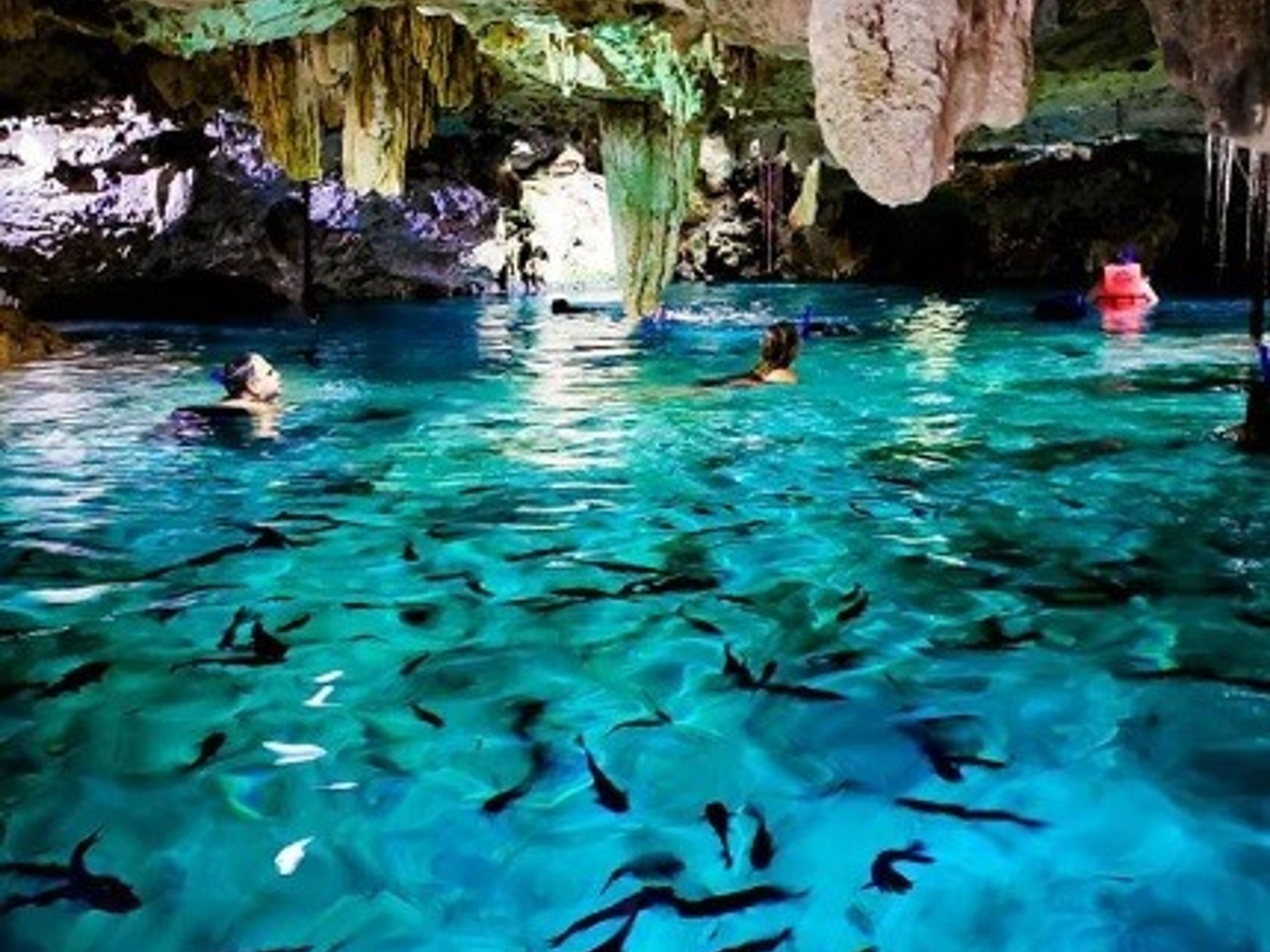 Тур "Тулум + Сенотес Плюс". Cenote in Aktun Chen Park to refresh and practice snorkeling in Tulum, Mexico.