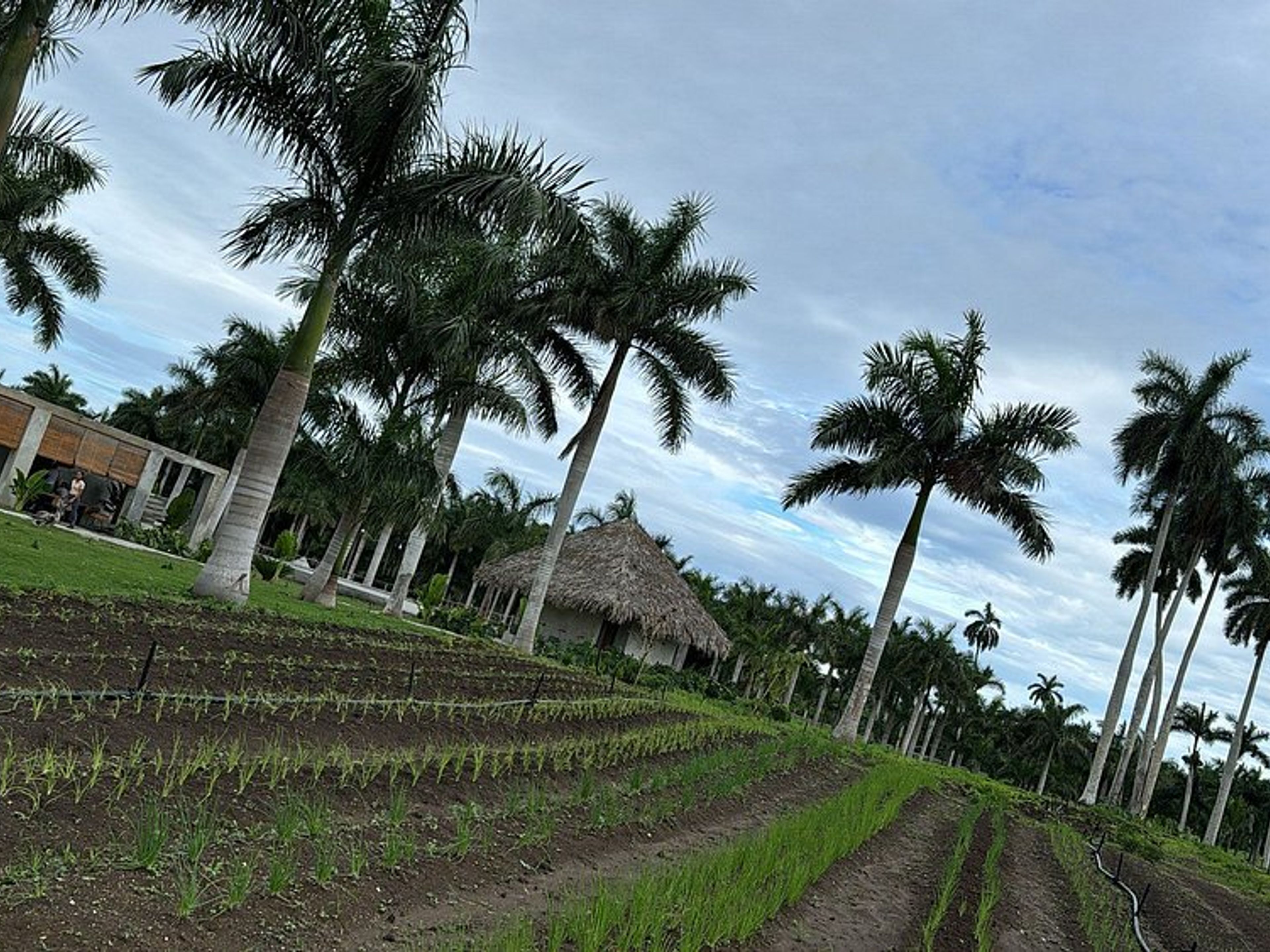 "HAVANA - NATURE + KAYAK" Tour. "HAVANA - NATURE + KAYAK" Tour