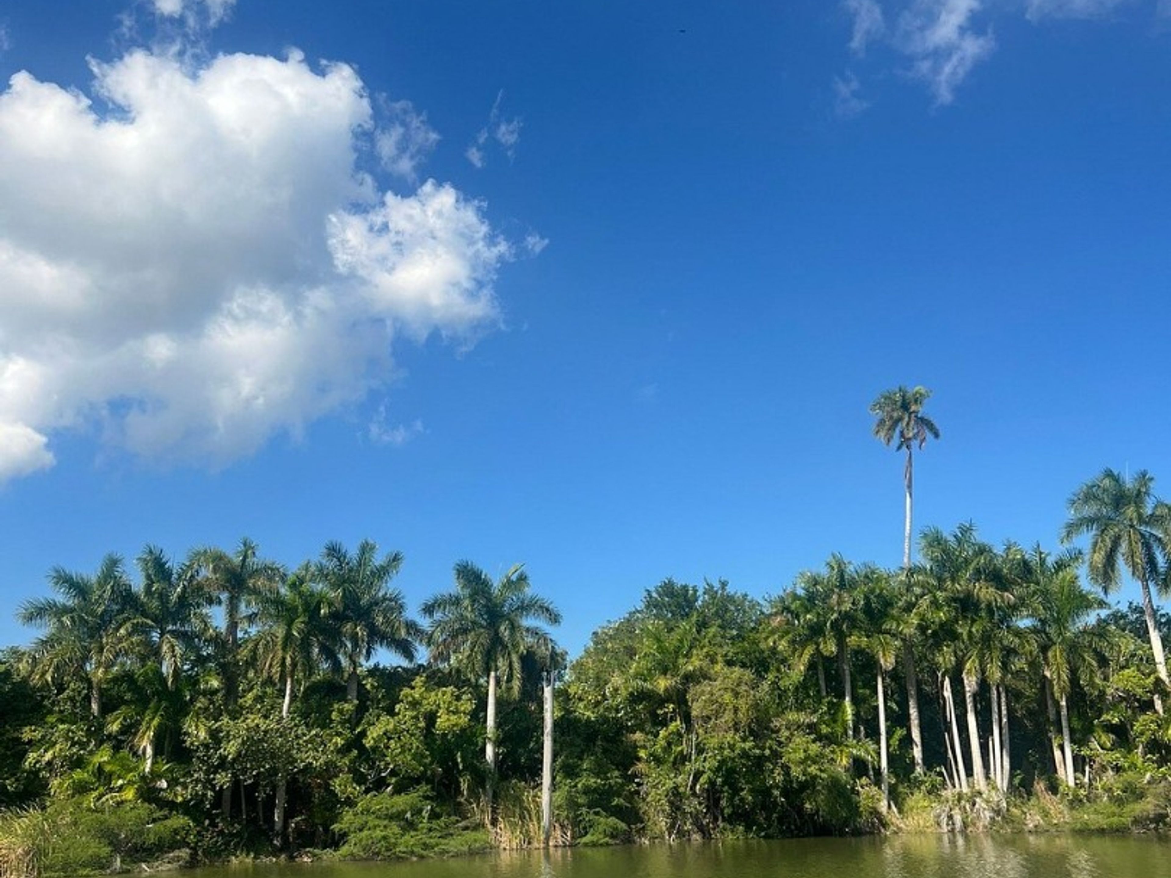 "HAVANA - NATURE + KAYAK" Tour. "HAVANA - NATURE + KAYAK" Tour