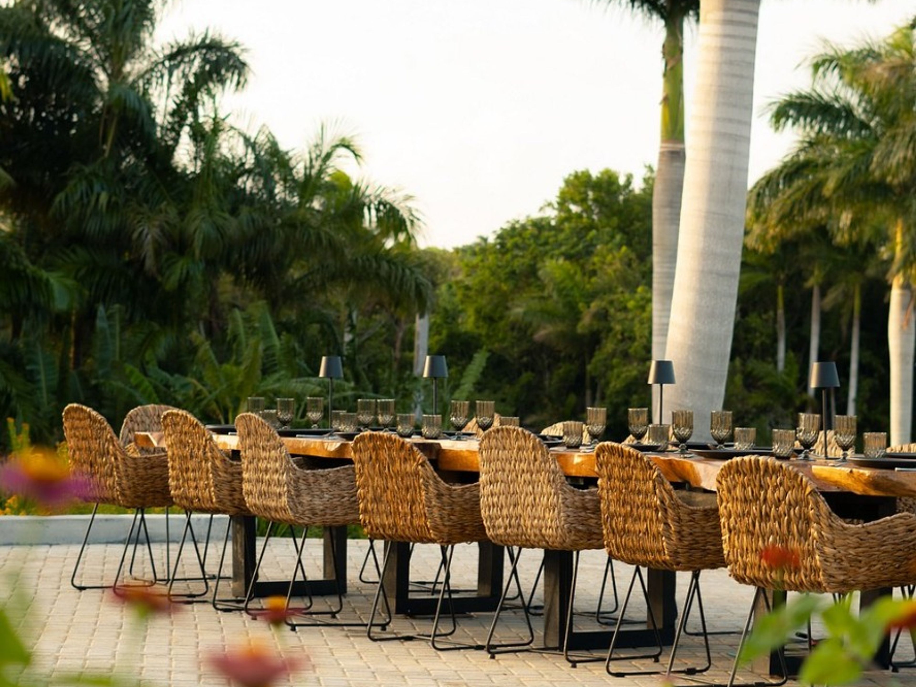 "HAVANA - NATURE + KAYAK" Tour. "HAVANA - NATURE + KAYAK" Tour