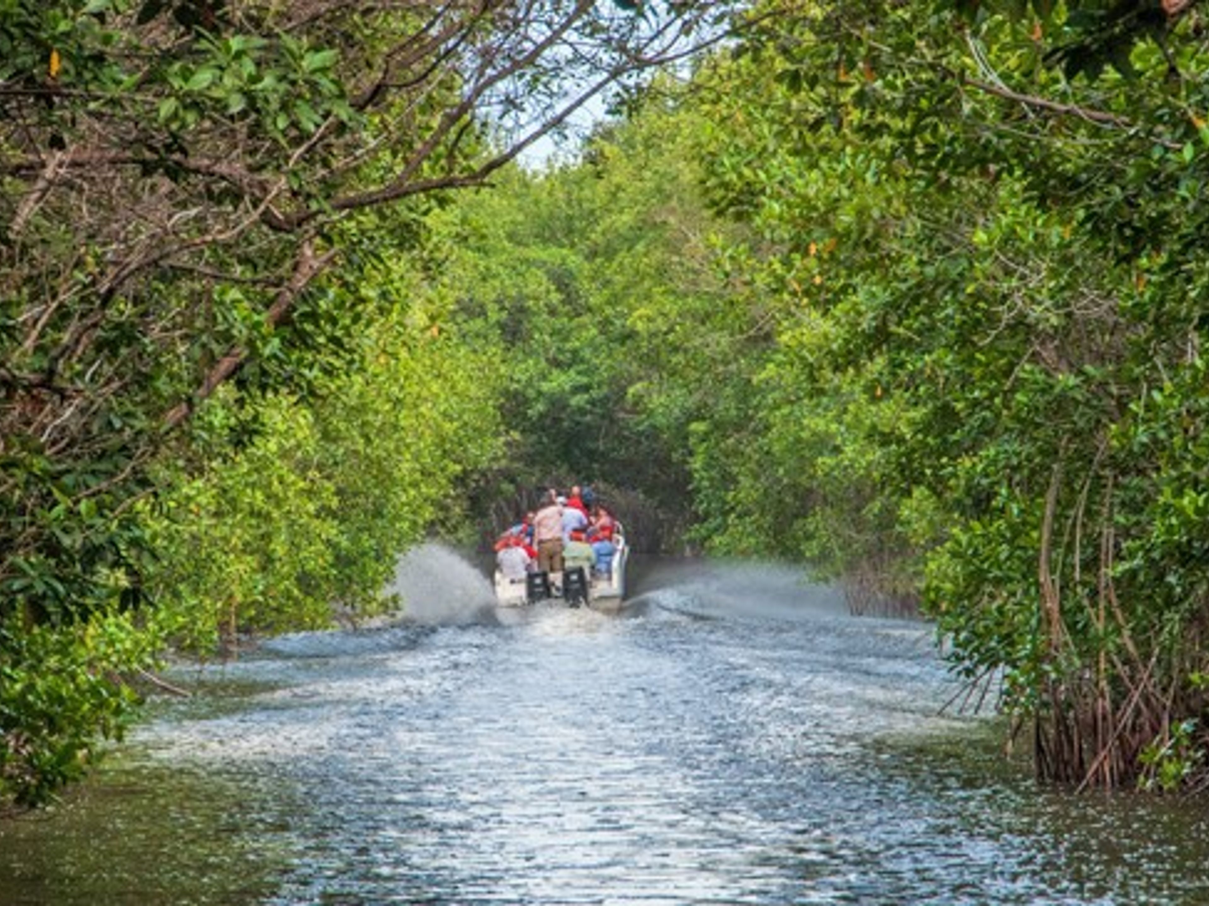 "EIN SPEKTAKULÄRER TAG IN CIEGO DE AVILA" Tour. La Redonda lagoon boat ride