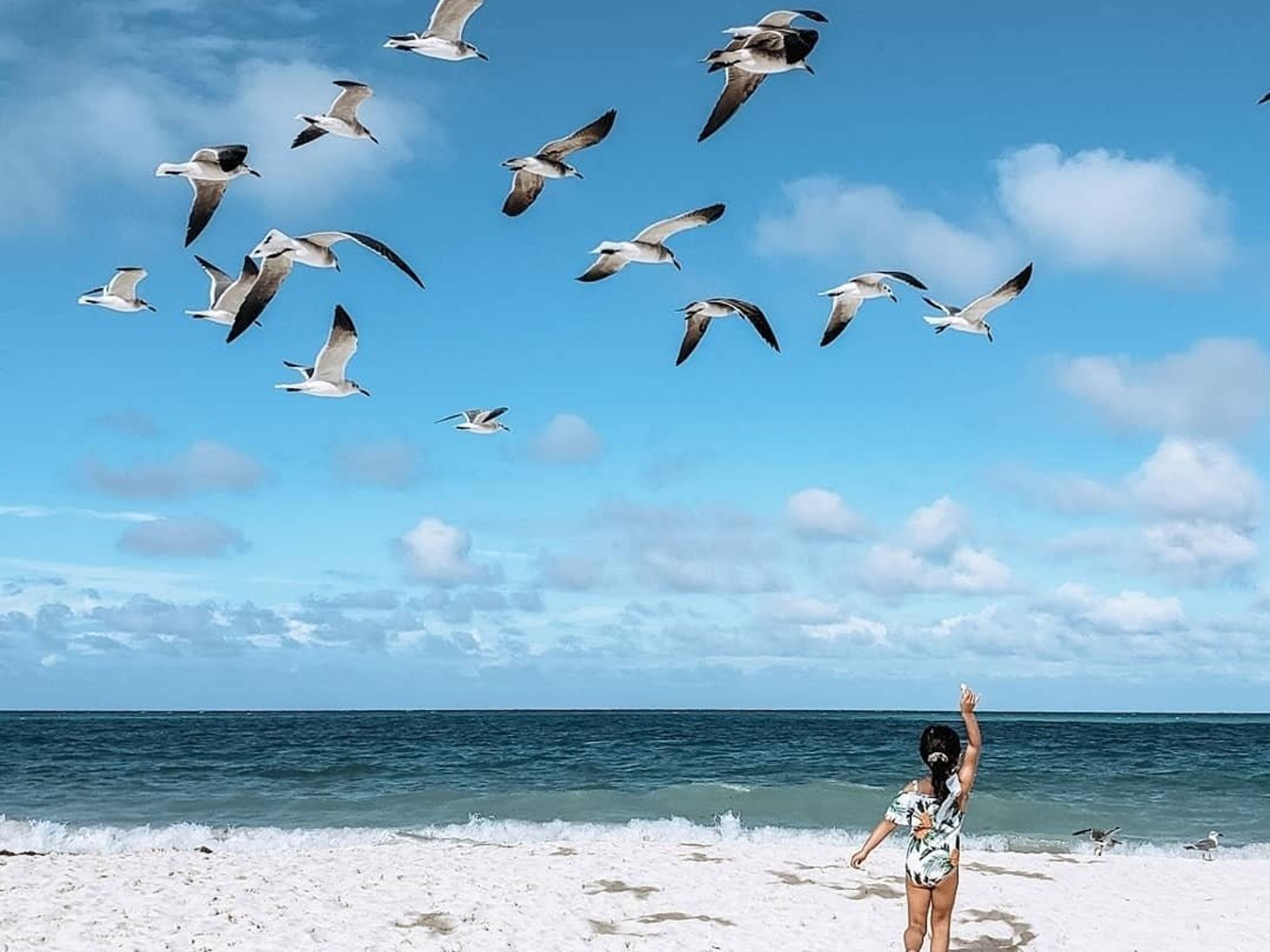 Tour “SEATOUR“. “SEA TOUR“ Tour, Cayo Coco, Jardines de Rey, Cuba.