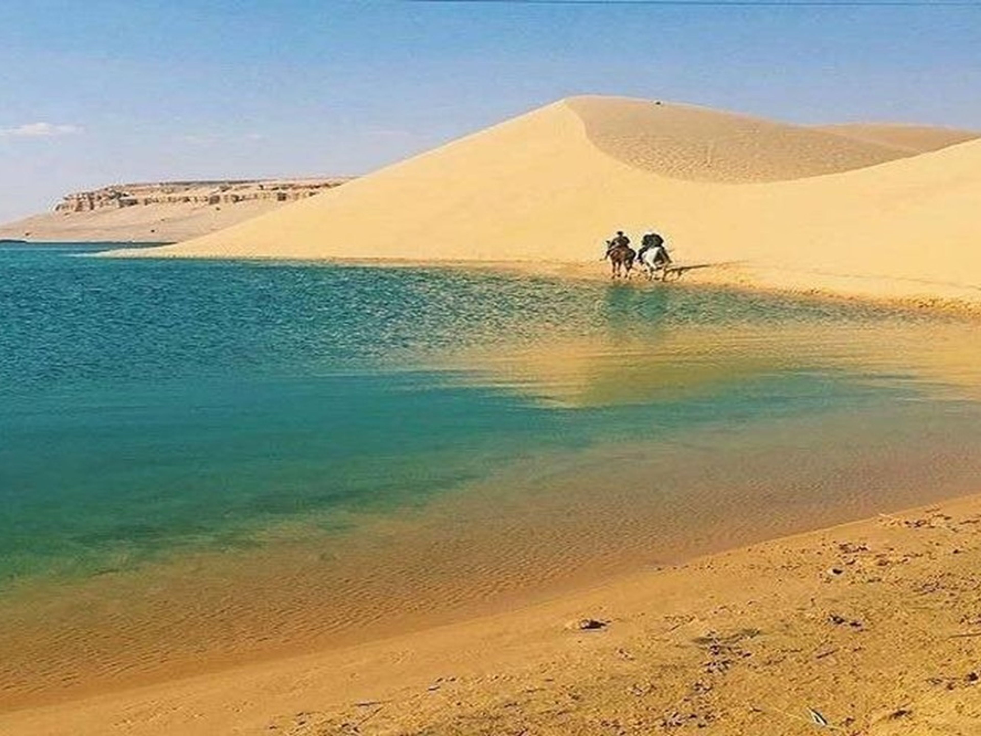 Excursão privada “VISITA DE DIA INTEIRO AO AL FAYOUM (LAGO QARUN - WADI EL RAYAN - VALE DAS BALEIAS - ALDEIA NA TUNÍSIA)”. THE AL FAYOUM OASIS panoramic view, Egypt.