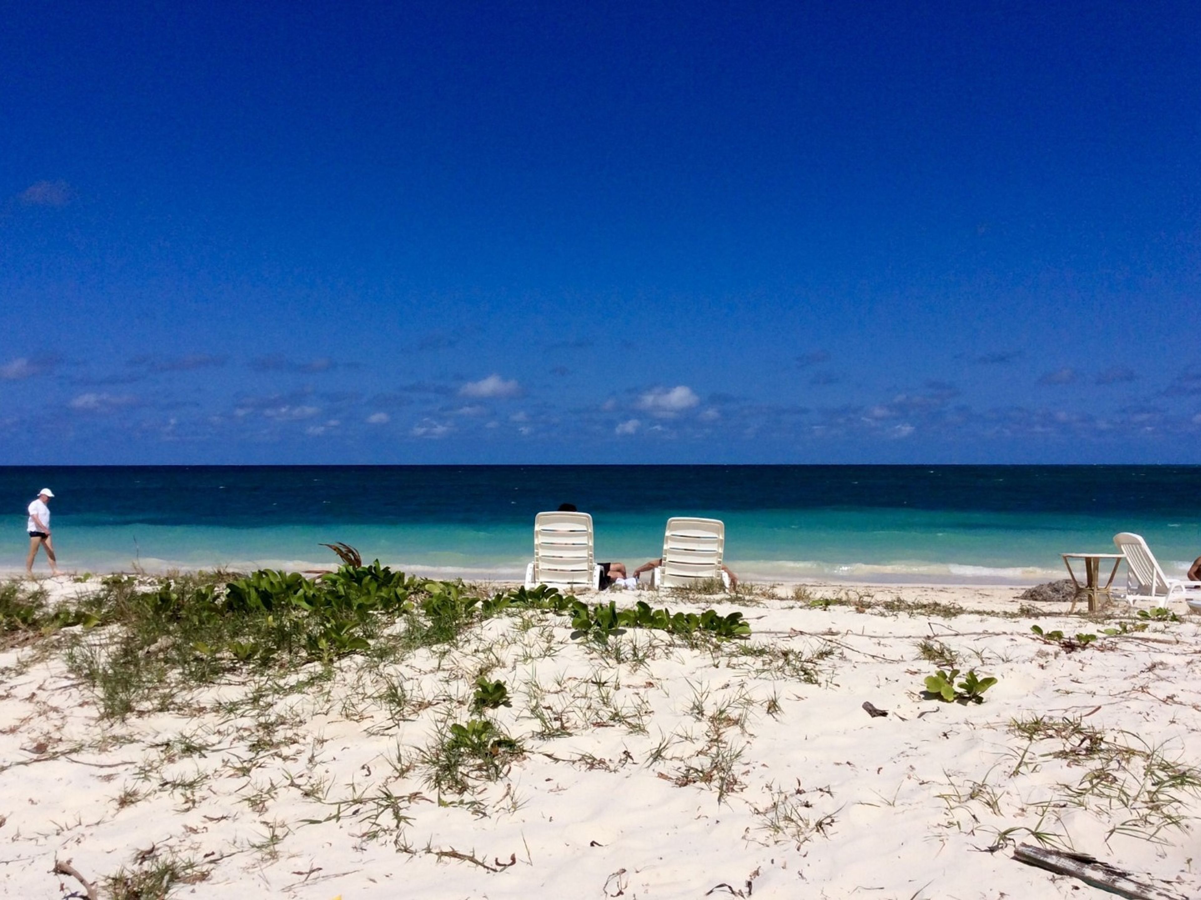 Tour "UNE JOURNÉE À CAYO LEVISA". Cayo Levisa beach panoramic view, Artemisa, Cuba.