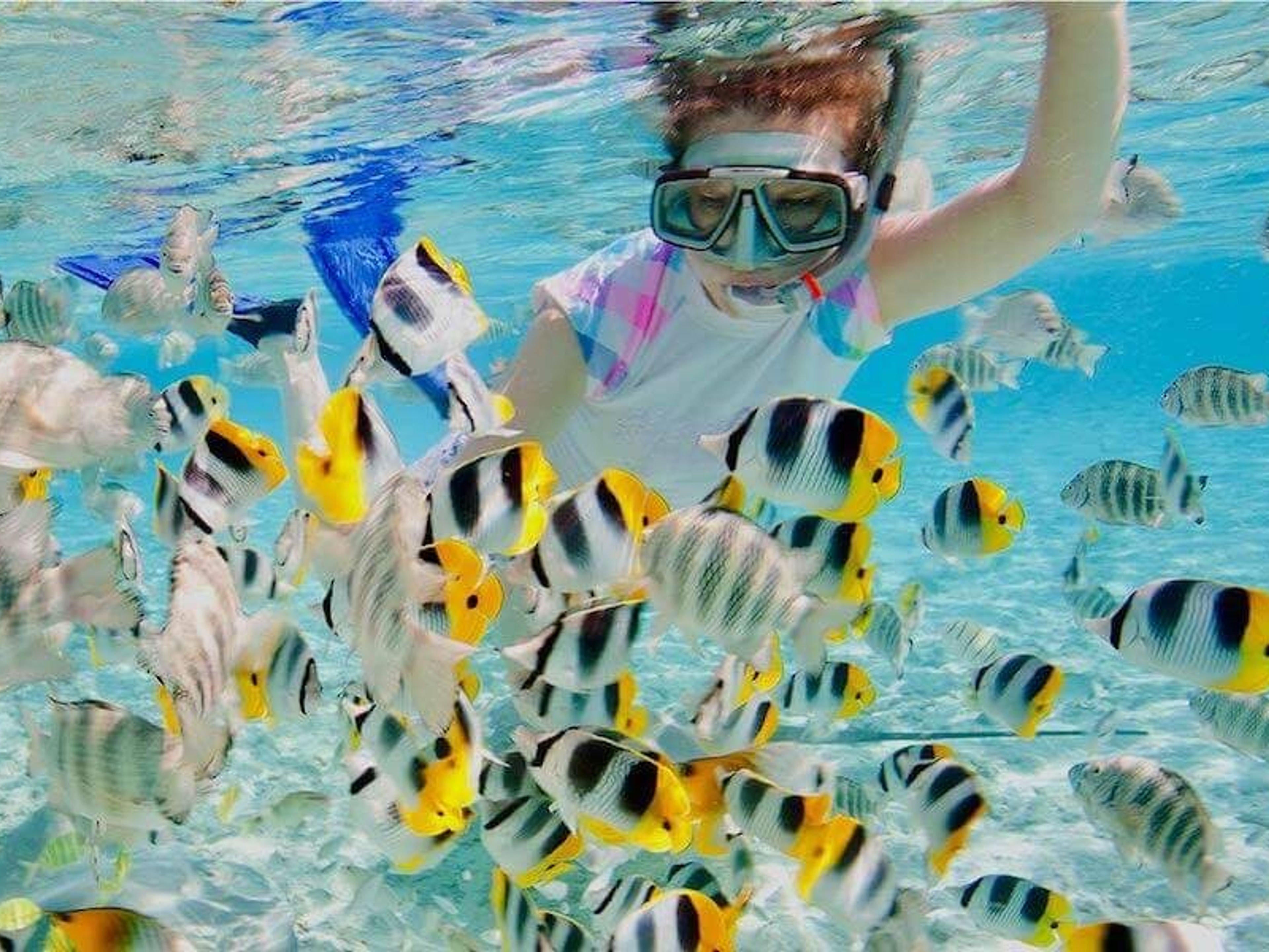 Jeep Safari “NATURE TOUR CARIBBEAN DAY” (CIENAGA DE ZAPATA, RESERVA DA BIOSFERA). Snorkeling in Punta Perdiz- Matanzas