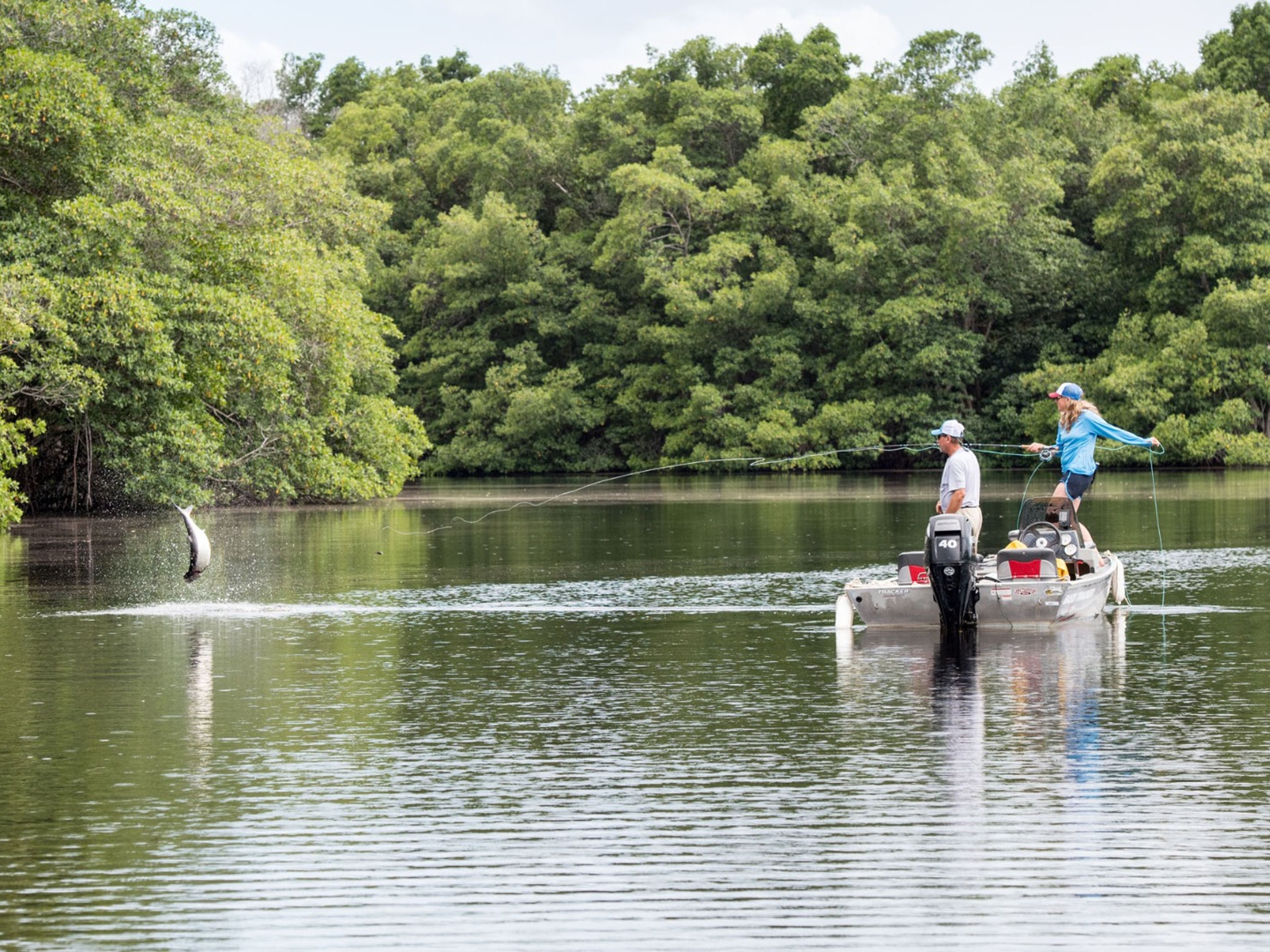 "FLIEGENFISCHEN IM HATIGUANICO FLUSS, HALBINSEL ZAPATA" Tour