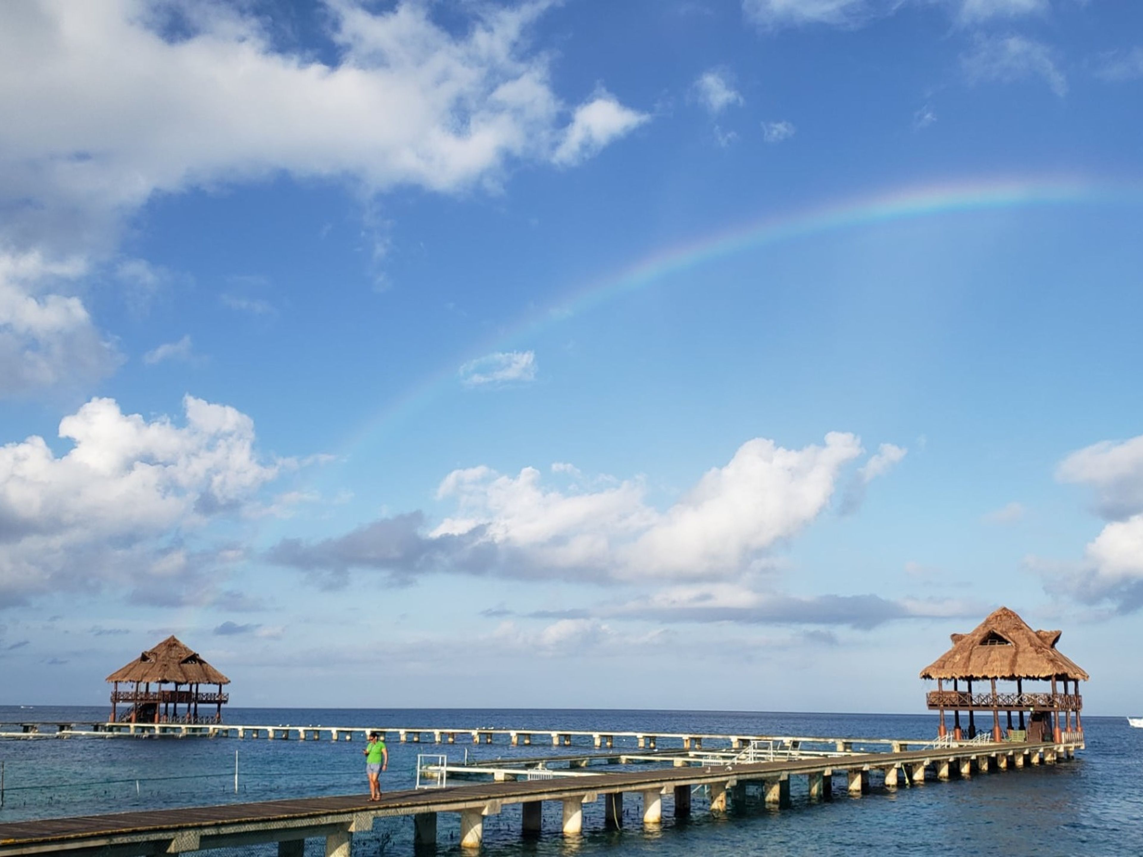 Тур "Королевское плавание дельфинов в Козумеле". "Dolphins Royal Swim in Cozumel" Tour