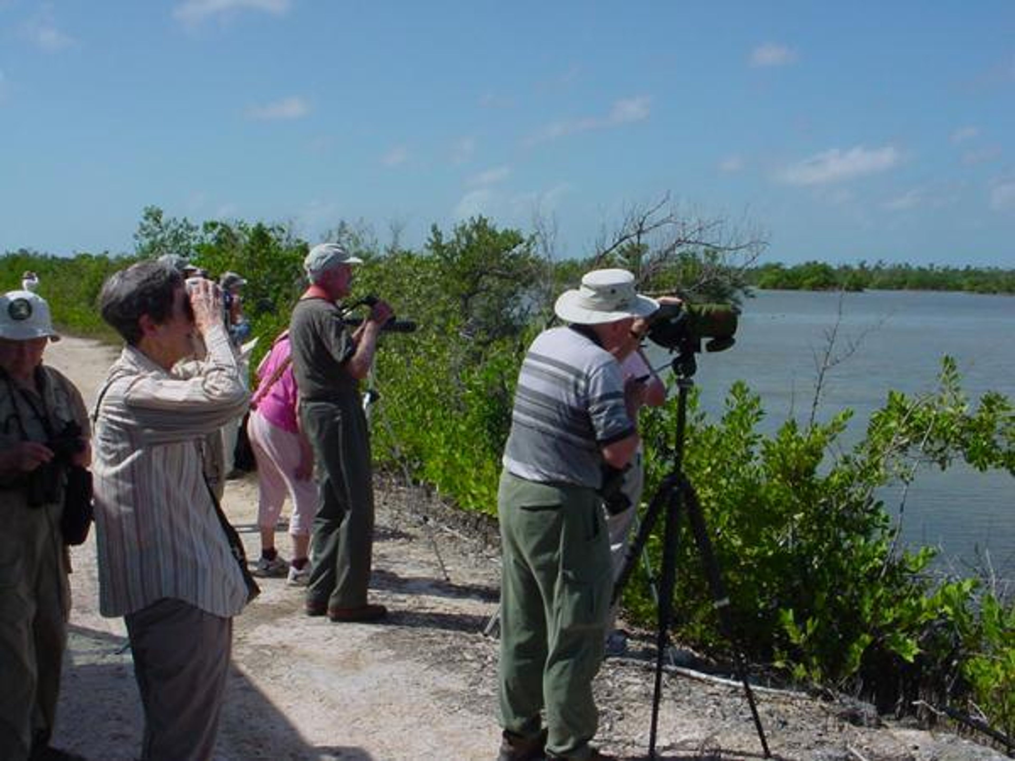 Jeep Safari "NATURE TOUR ZUR VOGELBEOBACHTUNG IN SALINAS DE BRITO". Birdwatching in Salinas de Brito