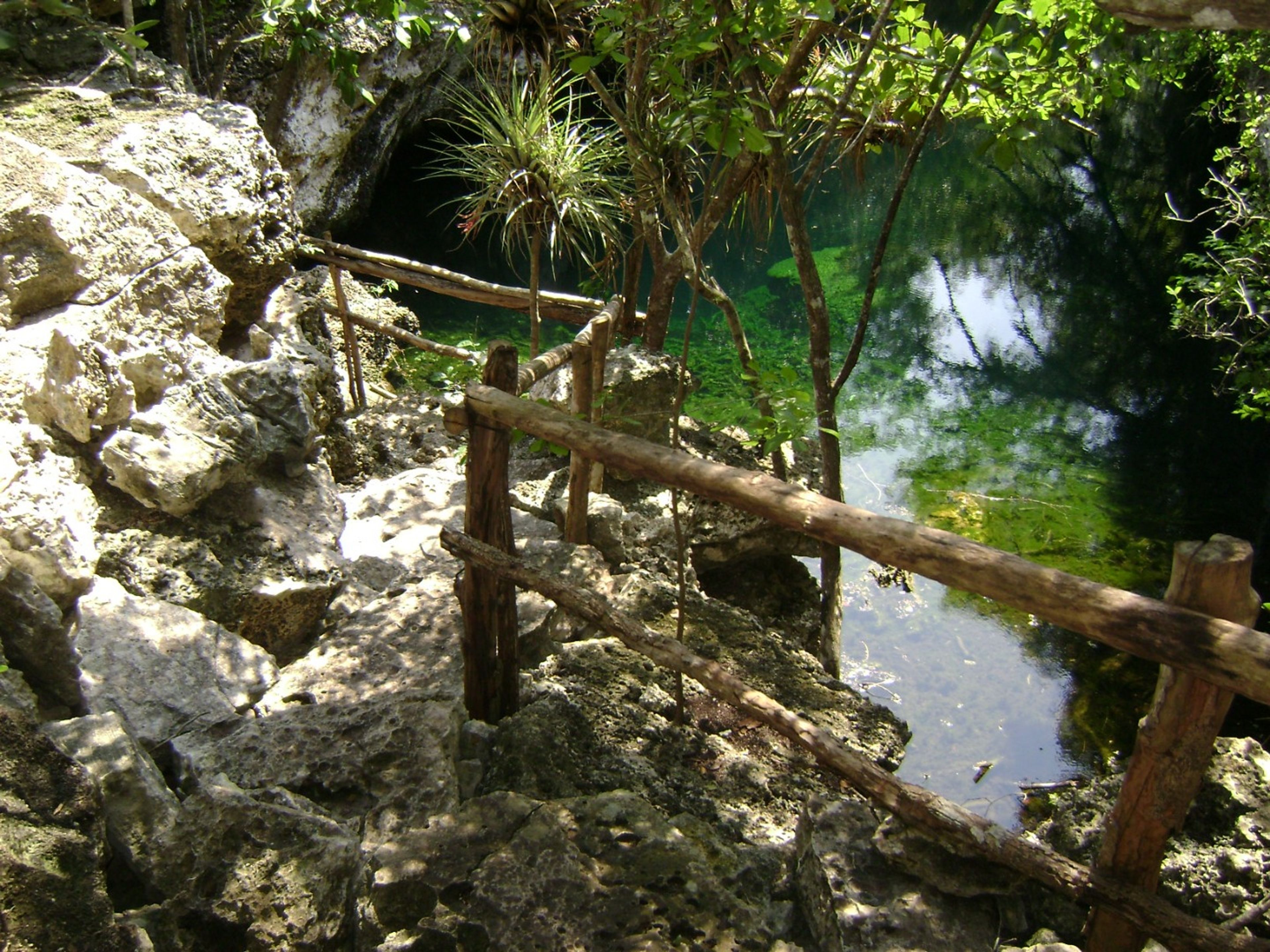 "HIKING AND BIRD WATCHING IN THE SPELEOLACUSTRINE SYSTEM OF THE ZAPATA SWAMP" Tour. "HIKING AND BIRD WATCHING IN THE SPELEOLACUSTRINE SYSTEM OF THE ZAPATA SWAMP" Tour, Zapata Peninsula, Matanzas, Cuba.