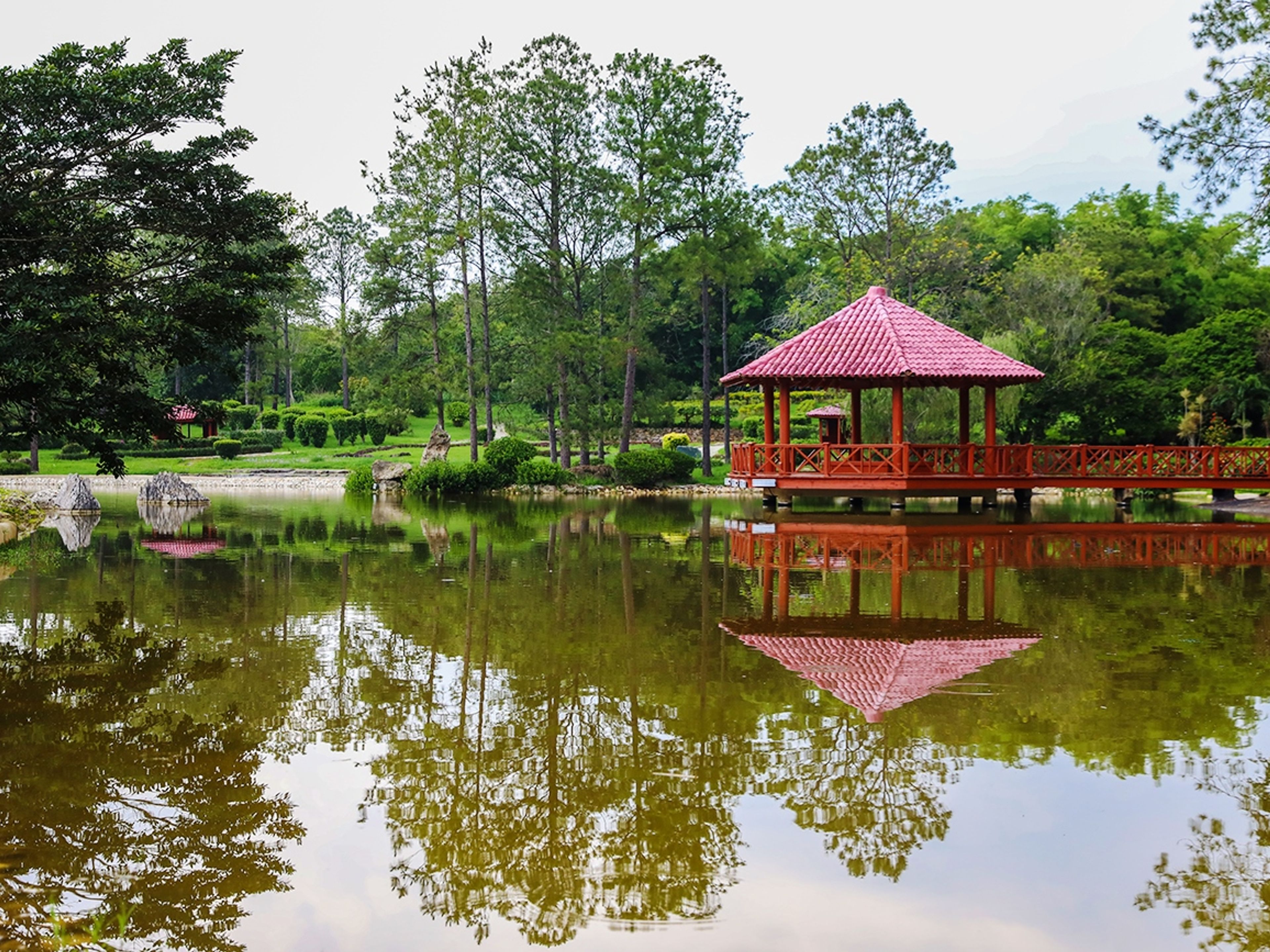 "NATURE AND HISTORY IN HAVANA" Tour. The Botanical Garden of Habana panoramic view, Havana, Cuba.