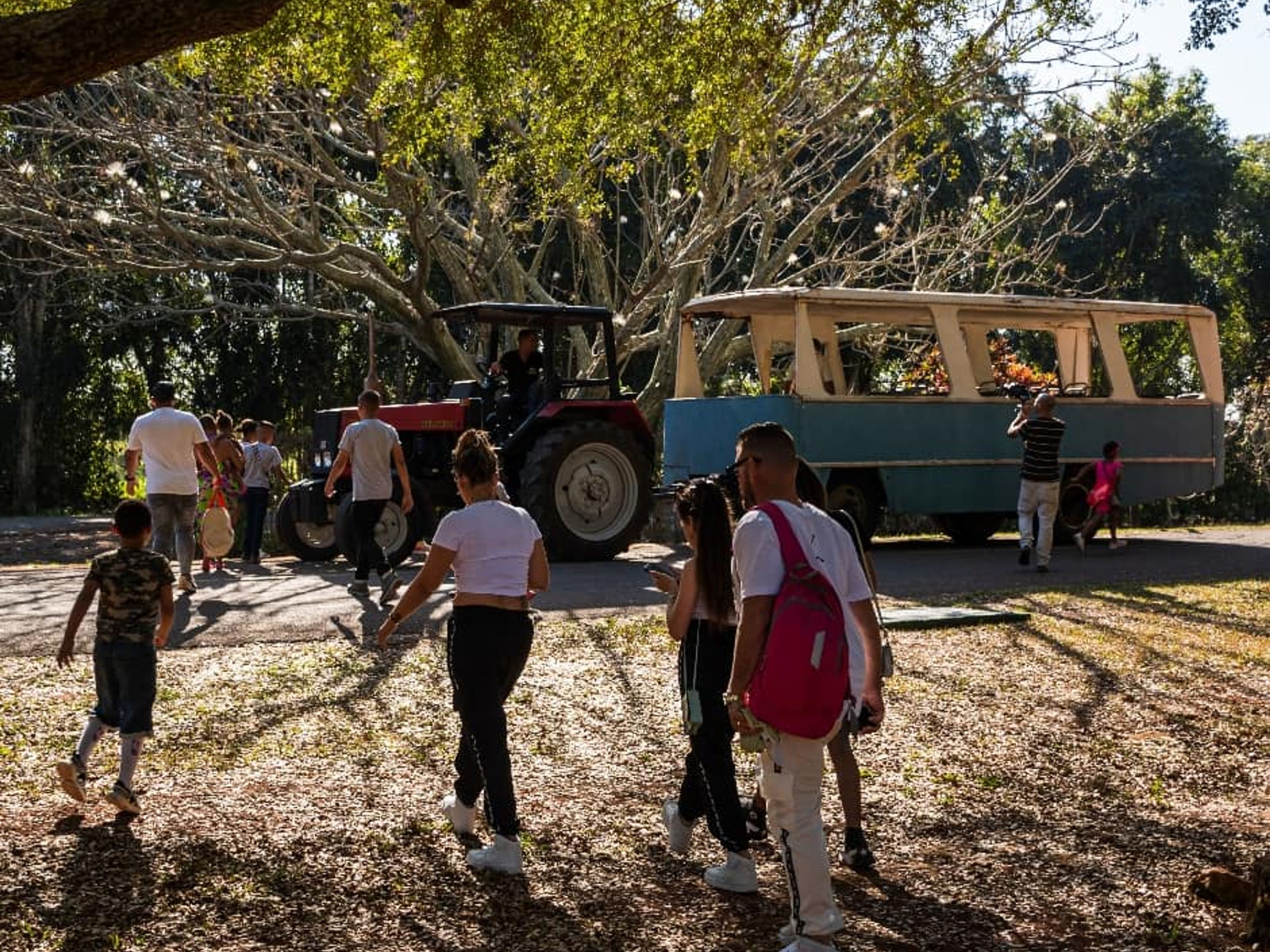"NATURE AND HISTORY IN HAVANA" Tour. The Botanical Garden of Habana panoramic view, Havana, Cuba.
