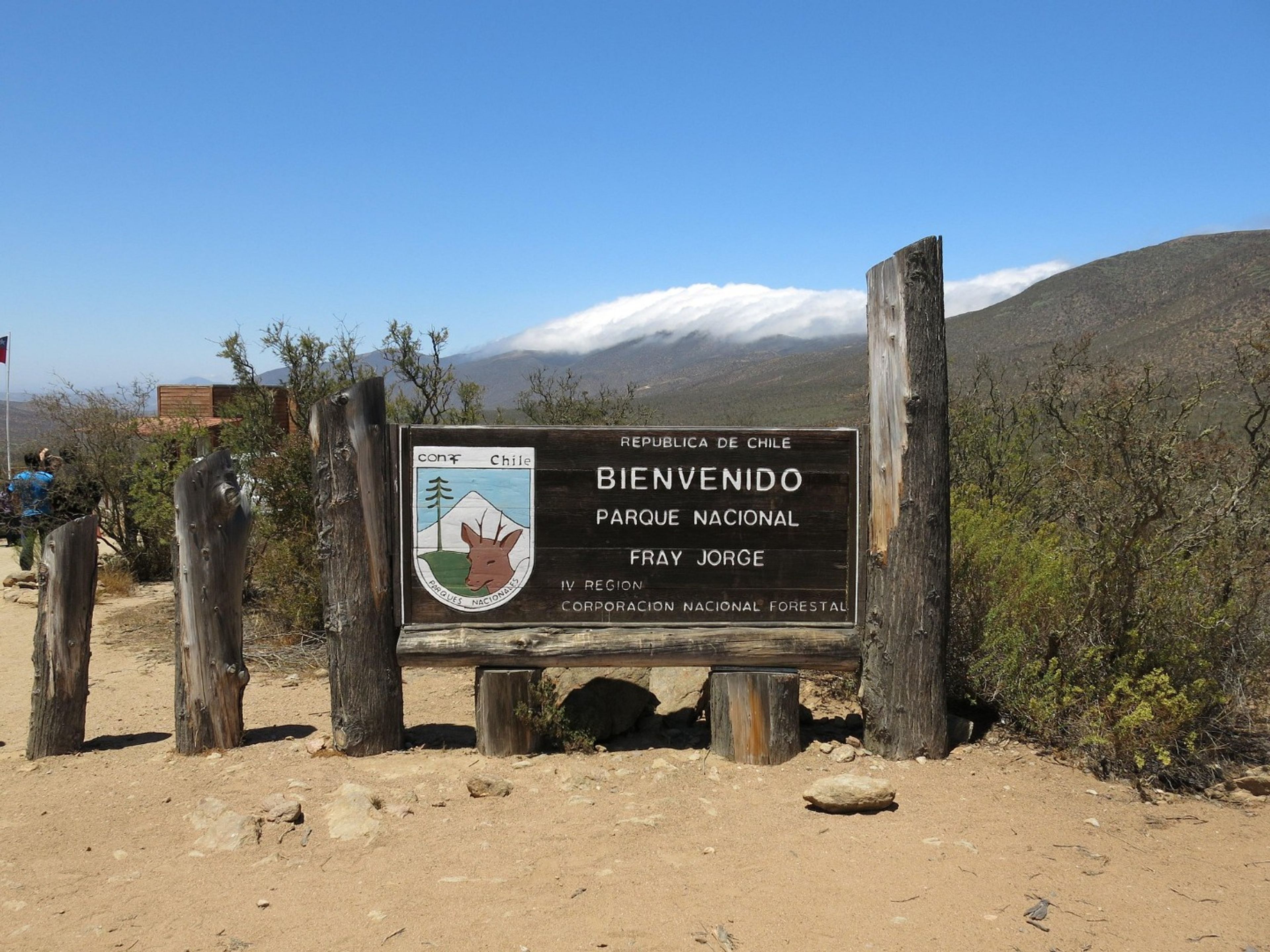 ”FRAY JORGE NATIONAL PARK & EL ENCANTO VALLEY” Tour. ”FRAY JORGE NATIONAL PARK & EL ENCANTO VALLEY” Tour, Chile.