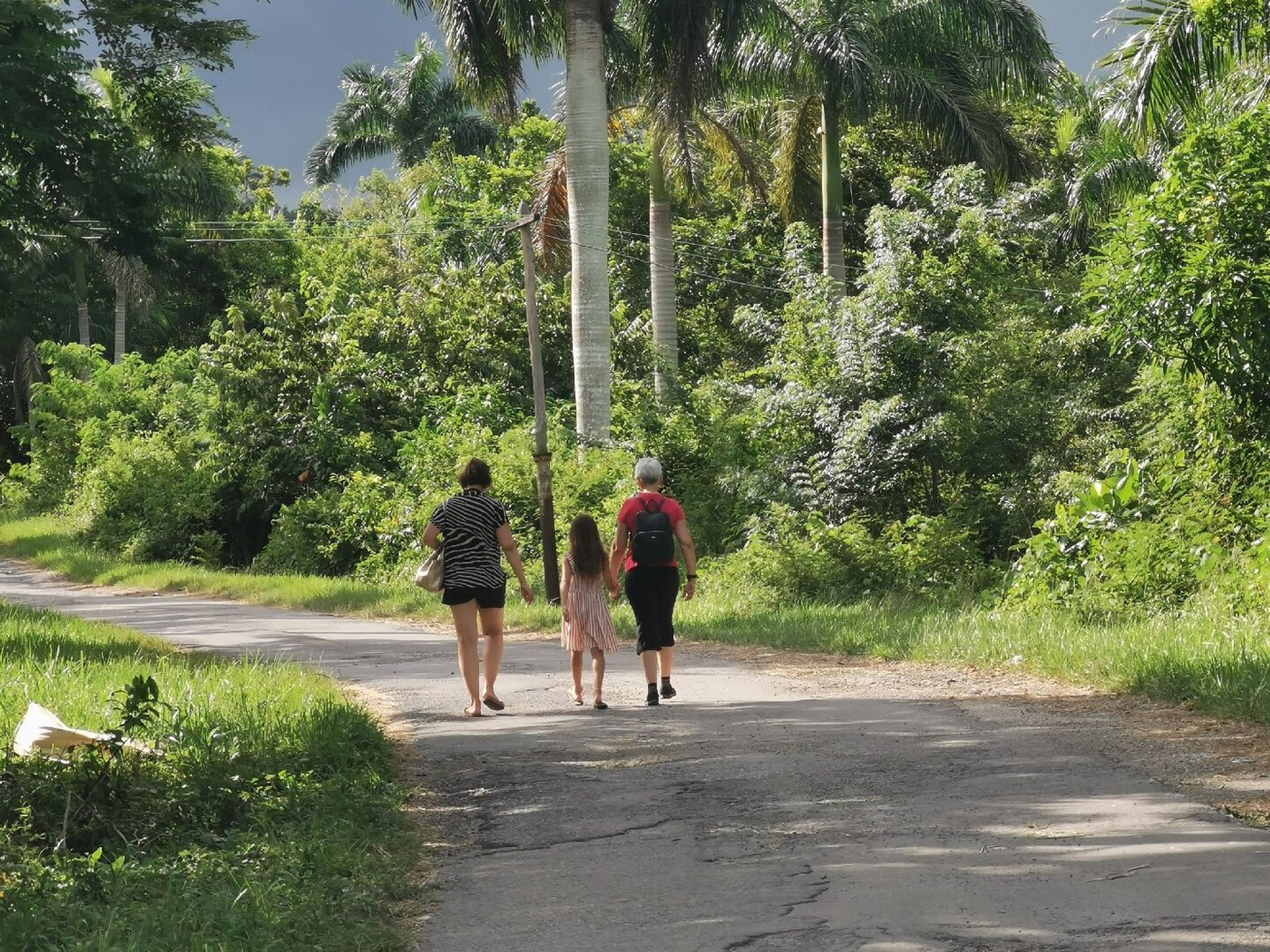 "LA SERAFINA TRAIL (LAS TERRAZAS)" Tour