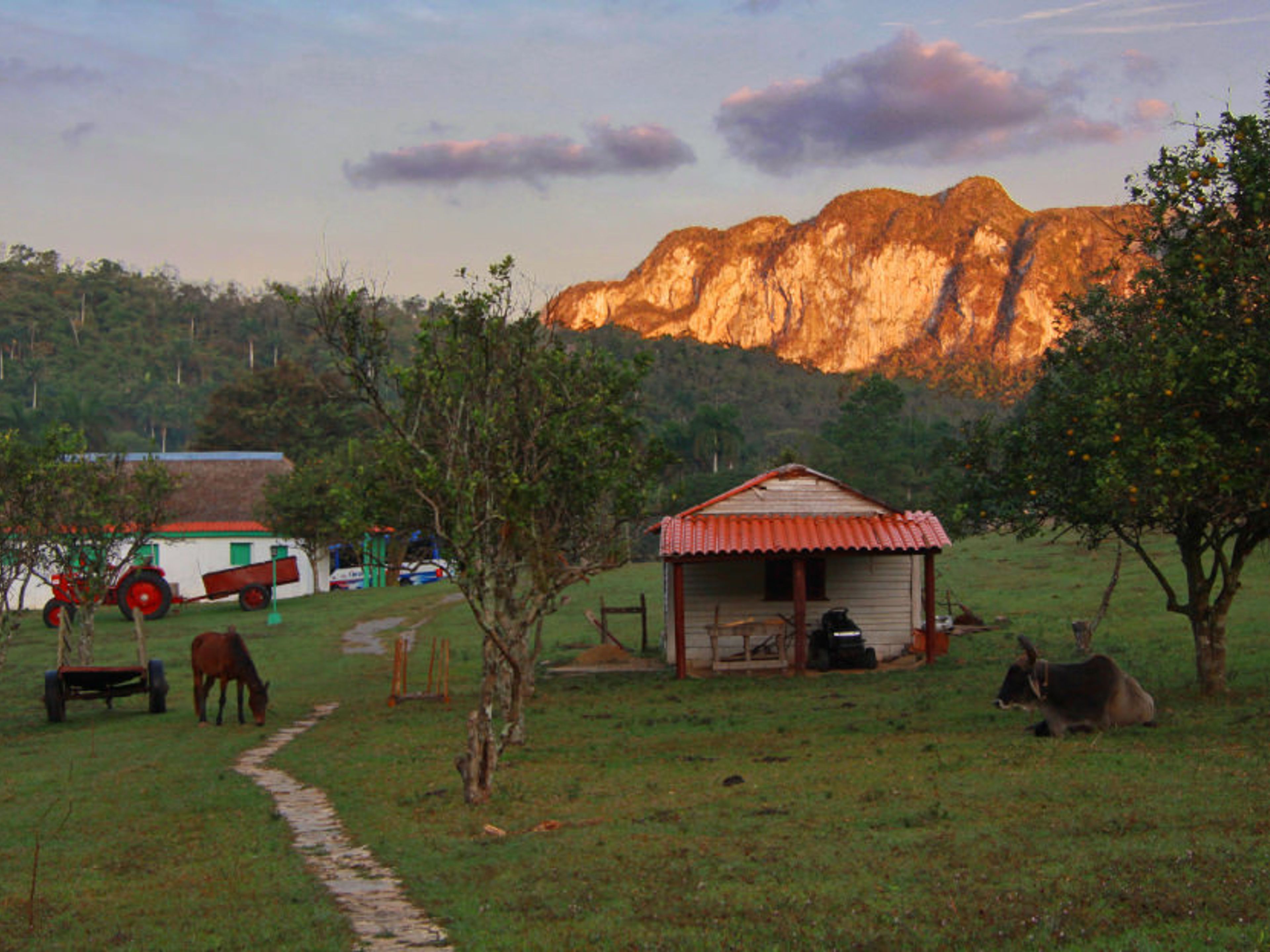 "Tour fotografico di Viñales". Viñales valley National Park, declared a Cultural Heritage Site by UNESCO, Pinar del Río