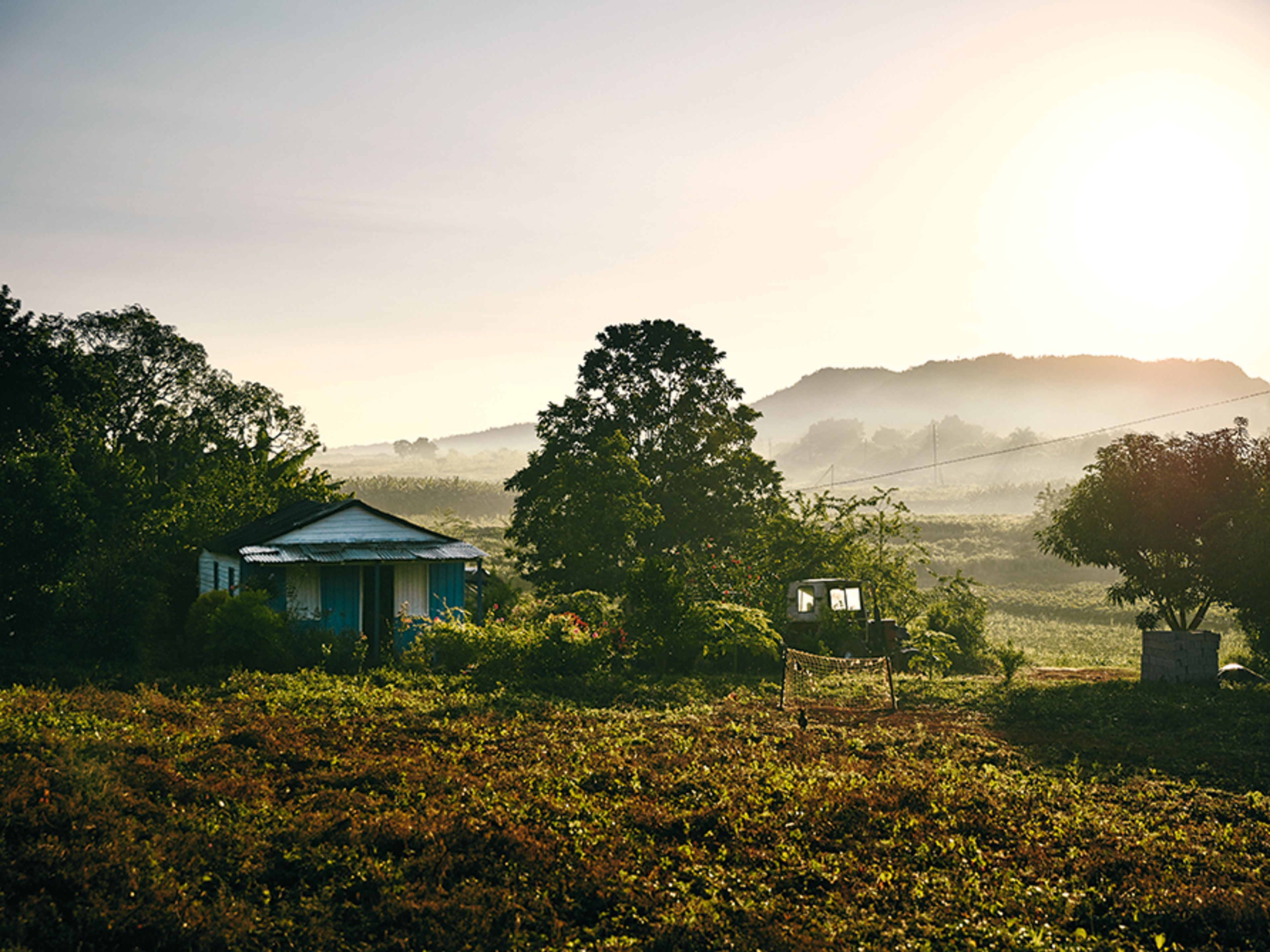 "Tour fotografico di Viñales". Viñales valley National Park, declared a Cultural Heritage Site by UNESCO, Pinar del Río