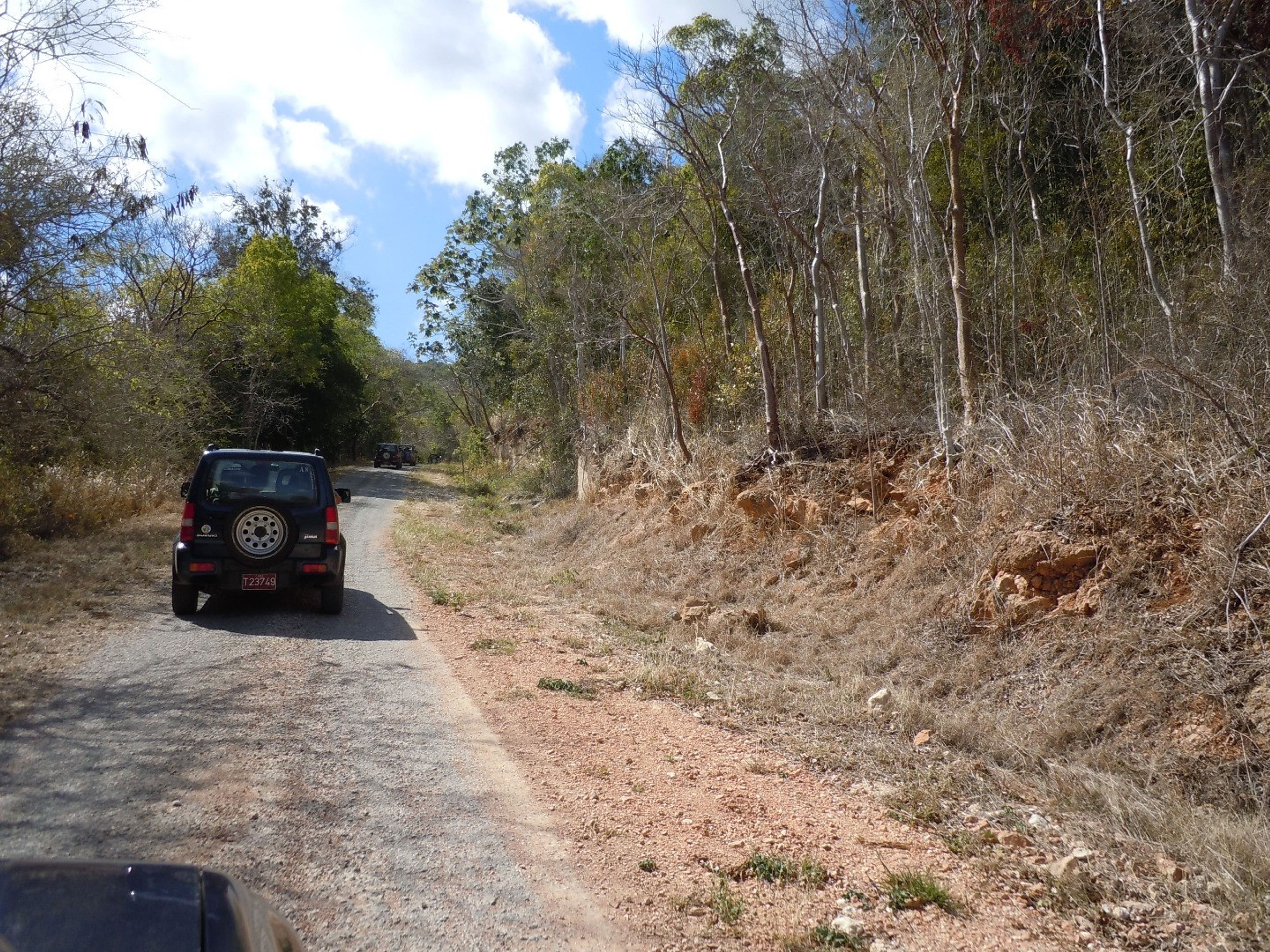 Джип-Cафари “NATURE TOUR ПРИКЛЮЧЕНИЕ ВО ФЛОРЕНЦИИ”. Jeep Safari “Adventure Florencia”, Ciego de Ávila