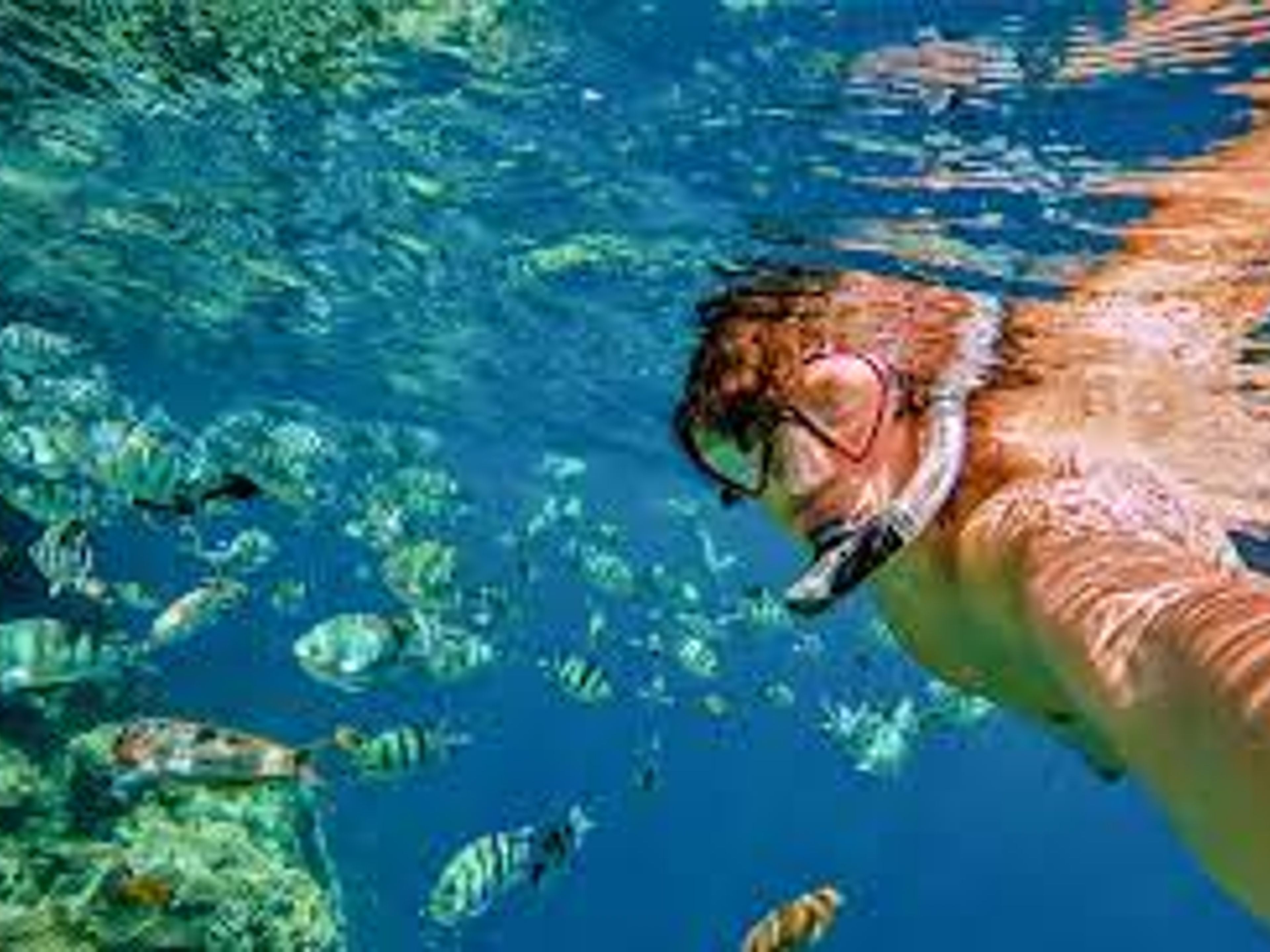 Excursão "AVENTURA MARINHA". "MARINE ADVENTURE" Tour, Bahia de Vita, Holguín, Cuba.
