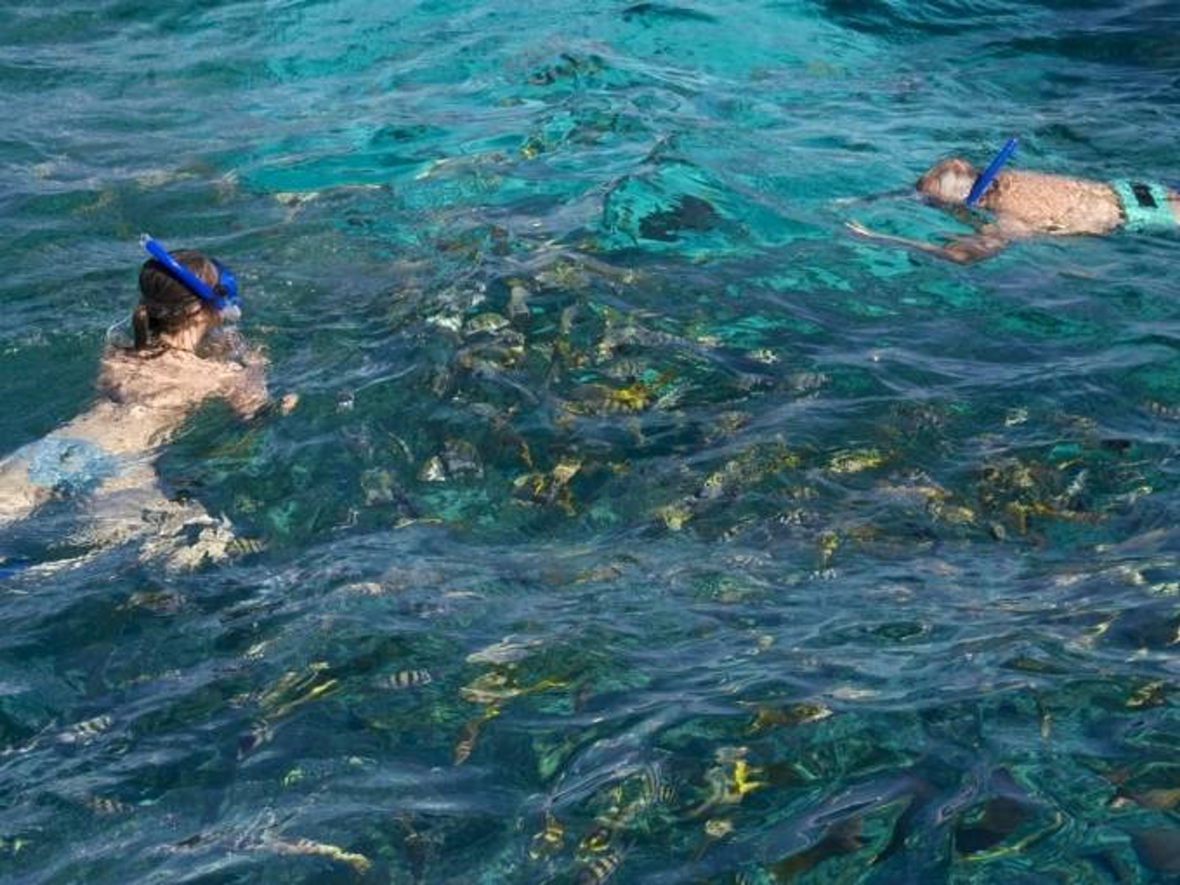 Excursão "AVENTURA MARINHA". "MARINE ADVENTURE" Tour, Bahia de Vita, Holguín, Cuba.