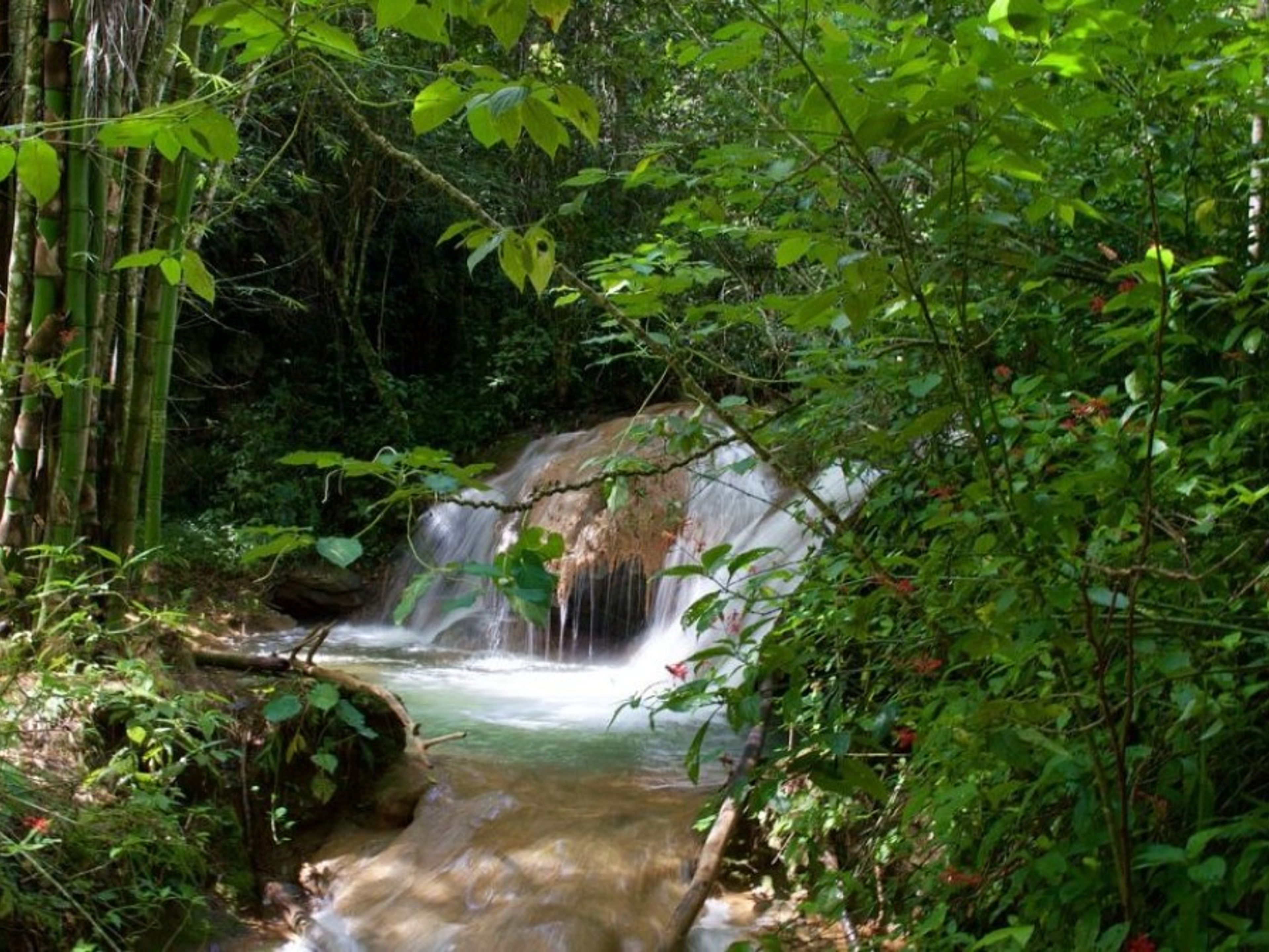 Excursión “PARQUE NATURAL TOPES DE COLLANTES". Topes de Collantes Natural Park panoramic view, Sancti Spíritus, Cuba