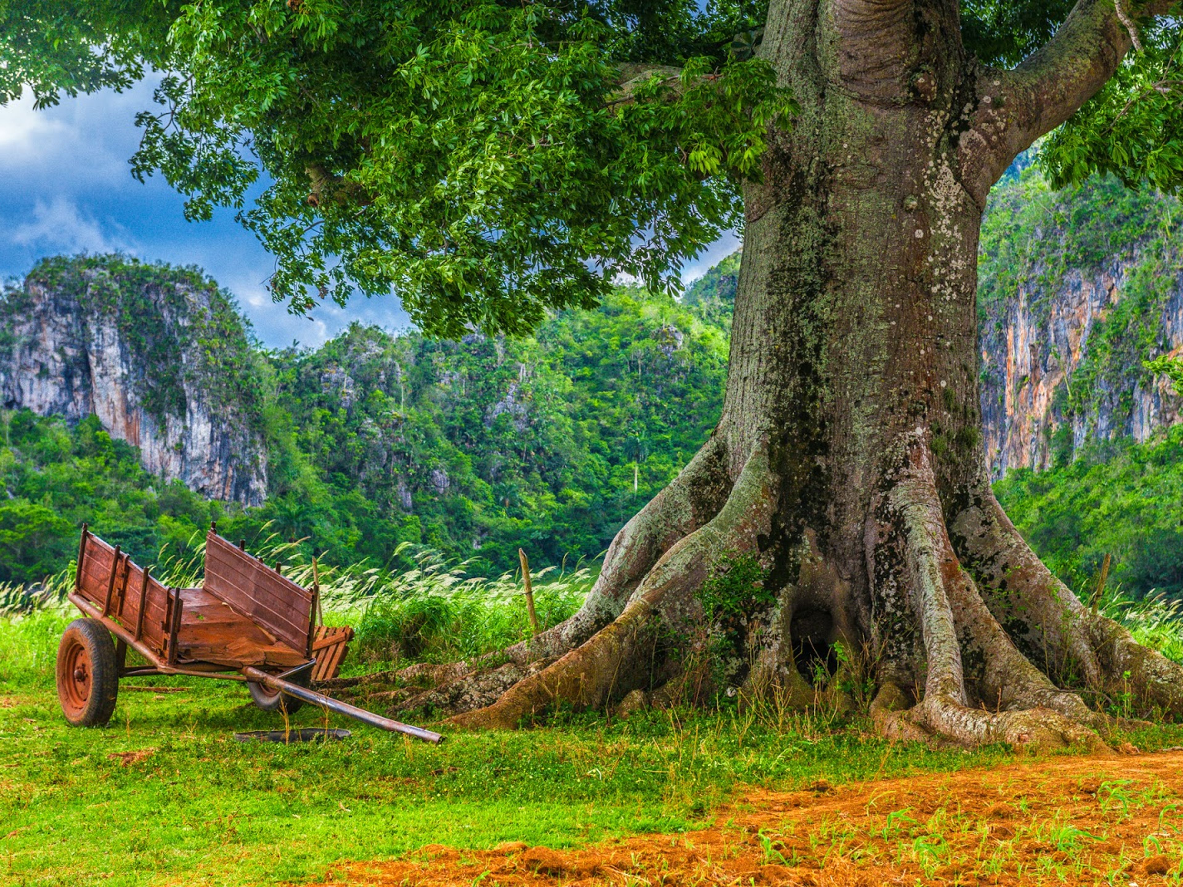 Tour à "Viñales". Traditions and customs, Viñales valley National Park, Pinar del Río
