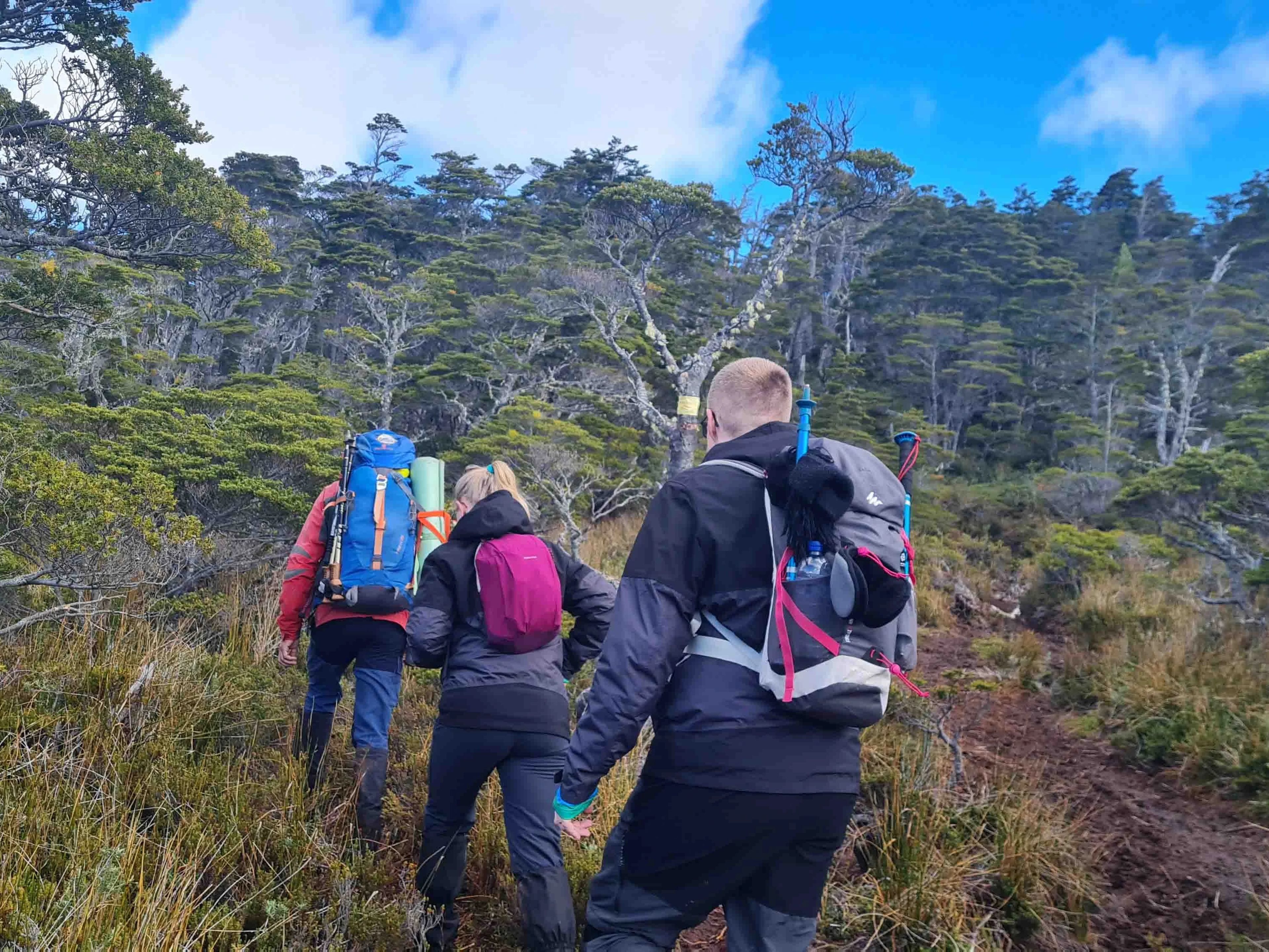 "GANZTAGESTOUR NACH TREKKING MONTE TARN" Tour. "FULL DAY TREKKING MONTE TARN" Tour, Punta Arenas, Chile.