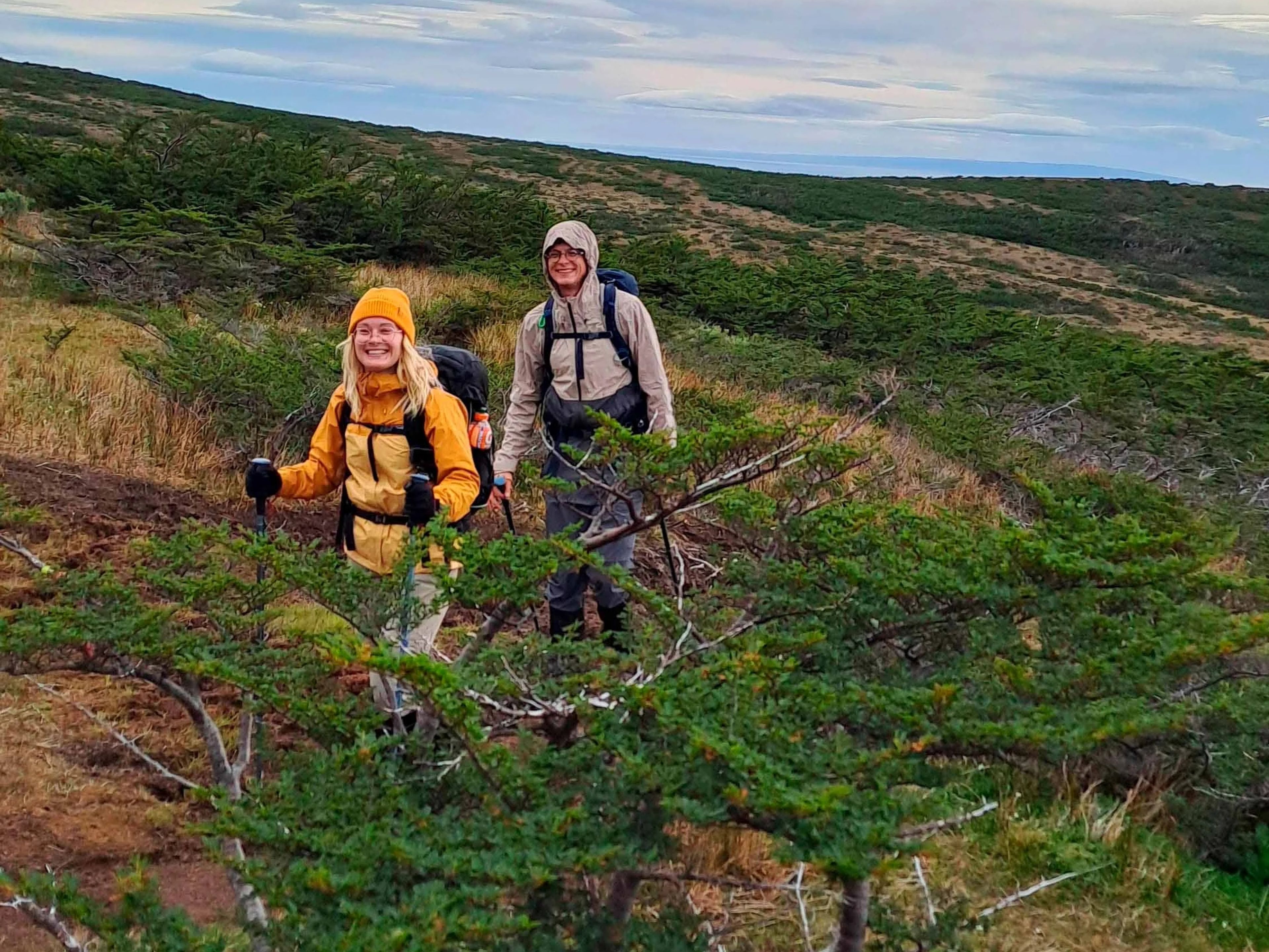 "GANZTAGESTOUR NACH TREKKING MONTE TARN" Tour. "FULL DAY TREKKING MONTE TARN" Tour, Punta Arenas, Chile.