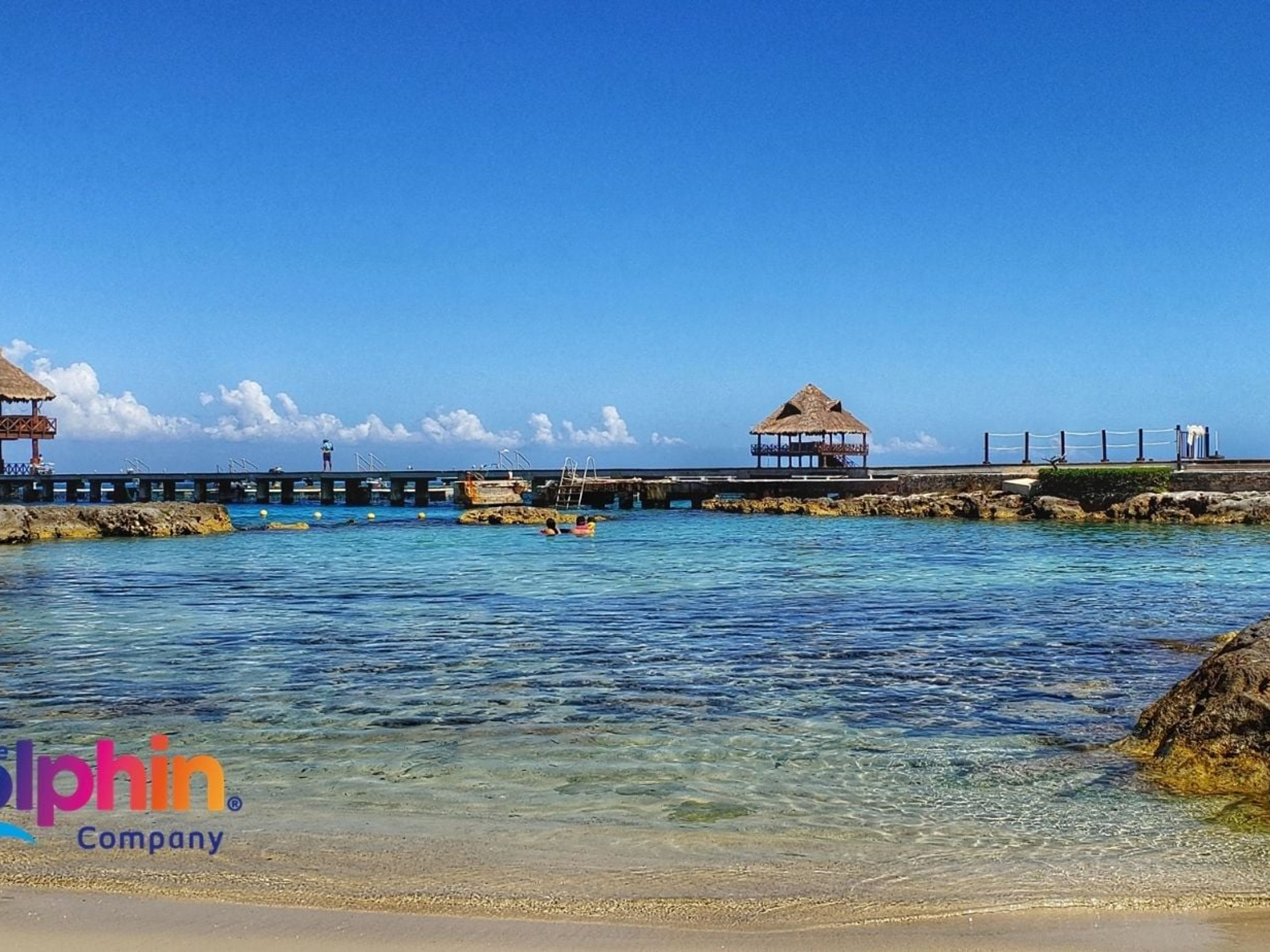 Tour "Delfines Swim Adventure en Cozumel en Cozumel". "Dolphins Swim Adventure in Cozumel" Tour