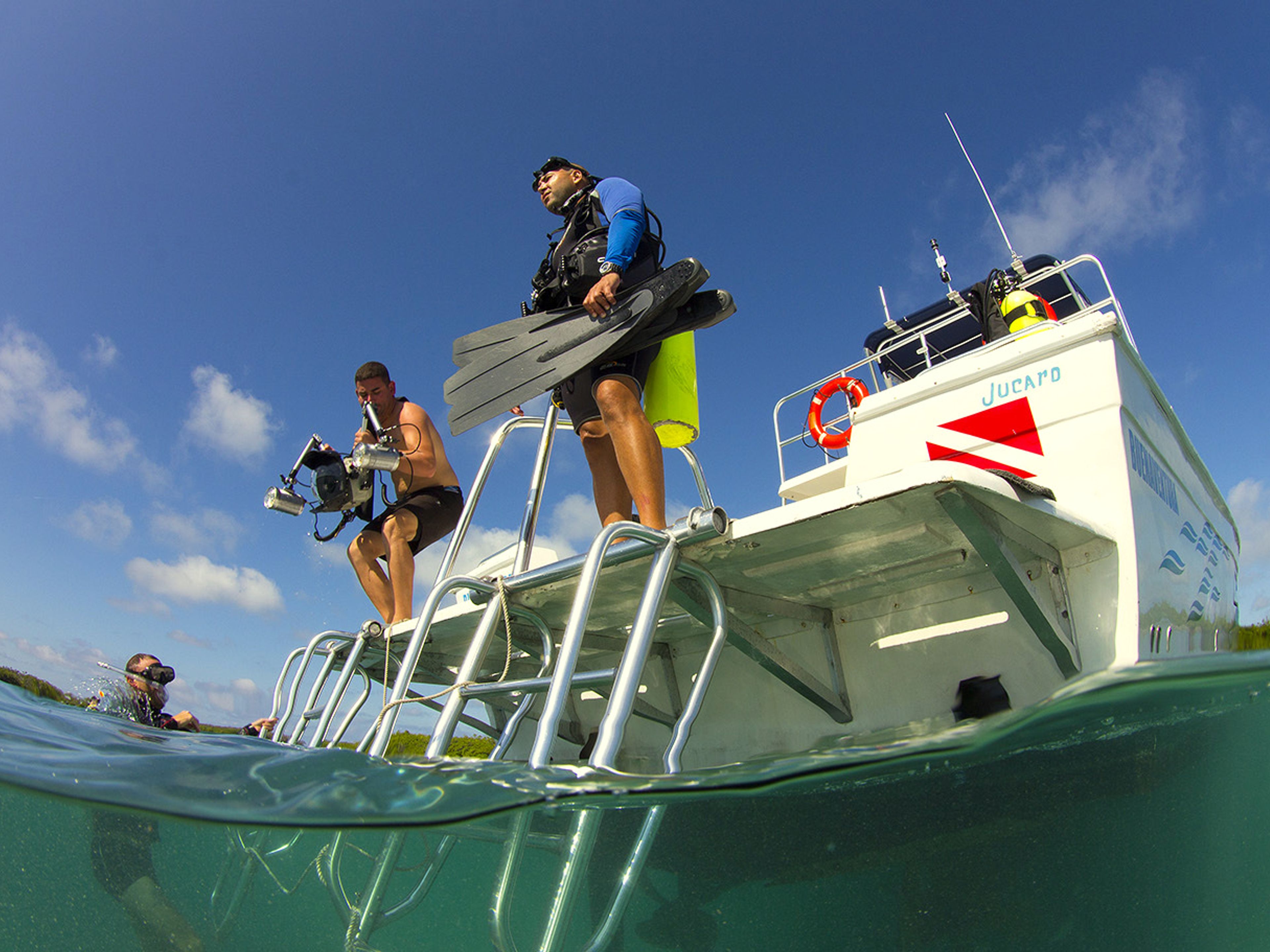 "SCUBA DIVING IN SIGUANEA (EL COLONY)" Tour. "SCUBA DIVING IN SIGUANEA (EL COLONY)" Tour