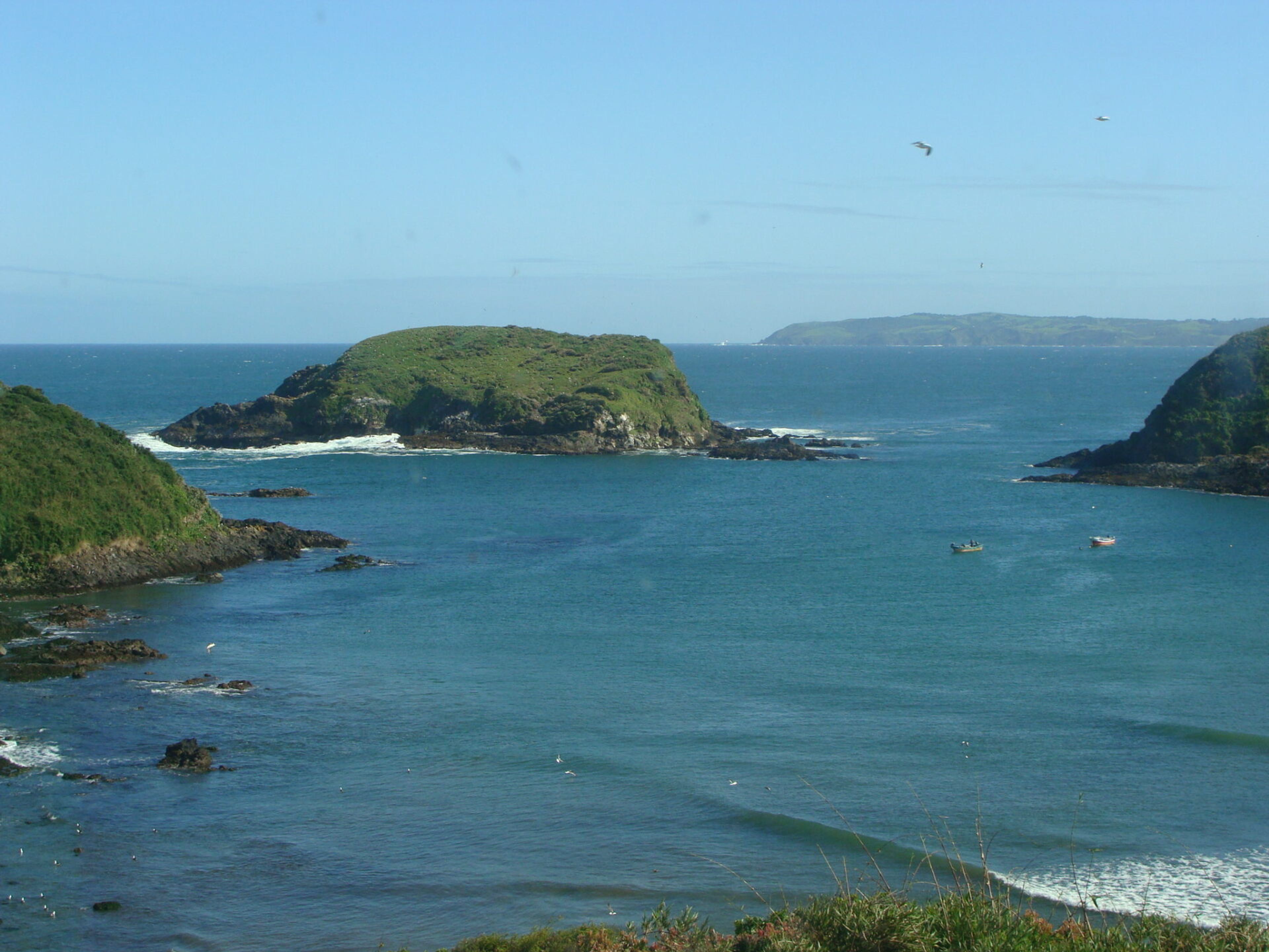 Tour “ANCUD E LA COLONIA DI PINGUINI A PUÑIHUIL”. null