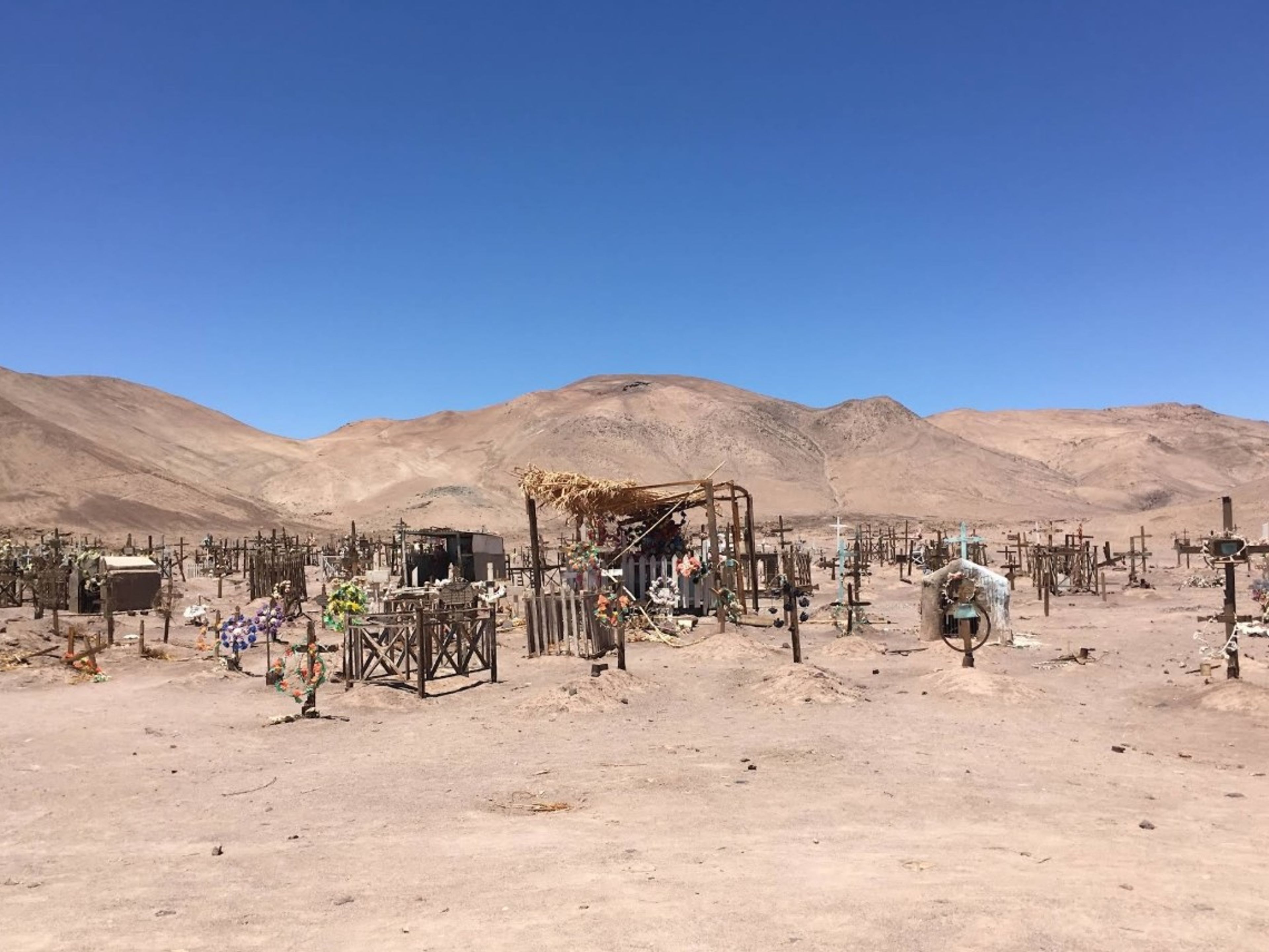 “ANCIENT GEOGLYPHS & SALTPETER GHOST TOWNS WITH BOX LUNCH" Tour . null