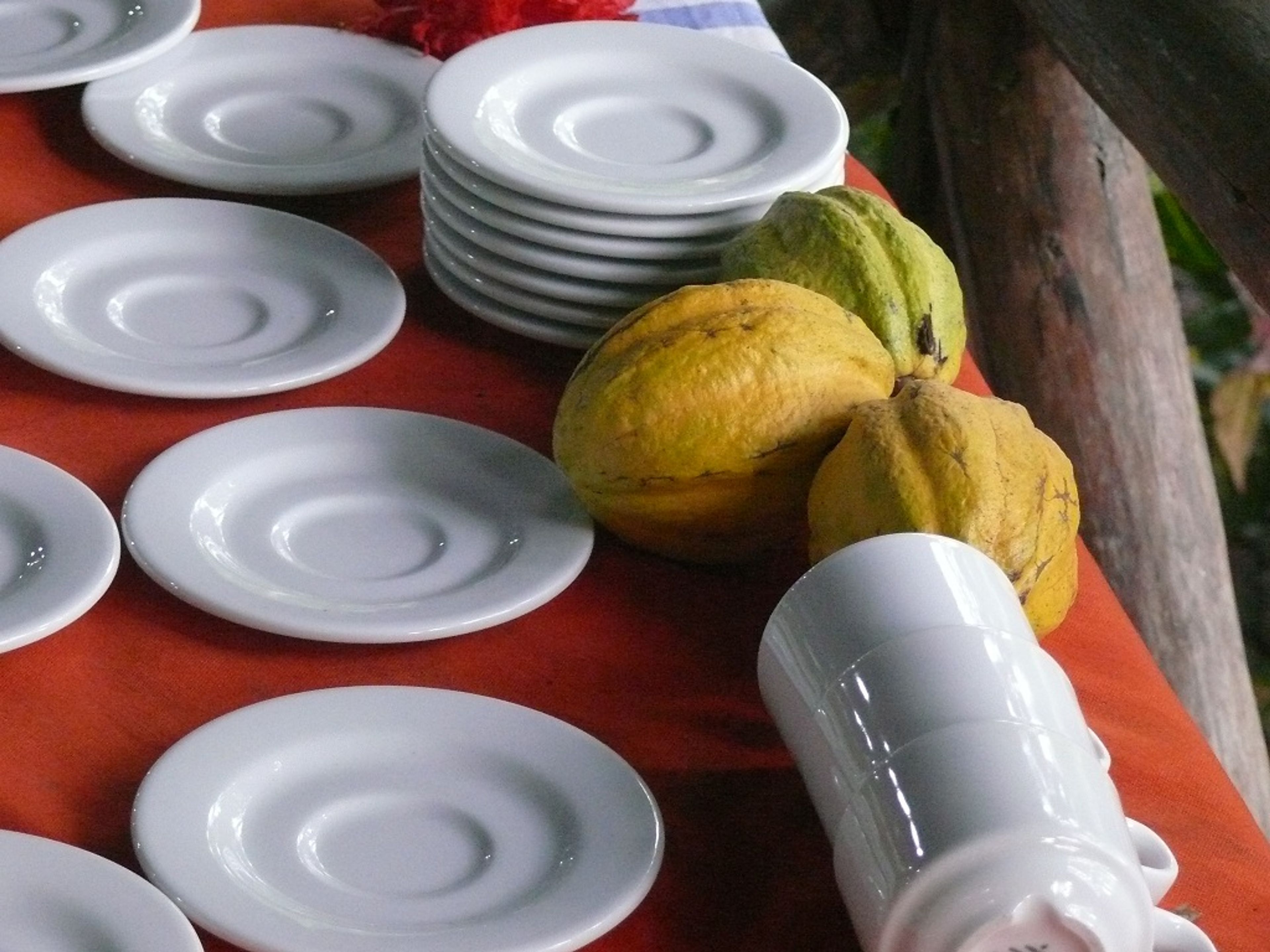 "Бока де Экскурсия по реке" Юмури. Chorote, Cacao, Baracoa, Cuba