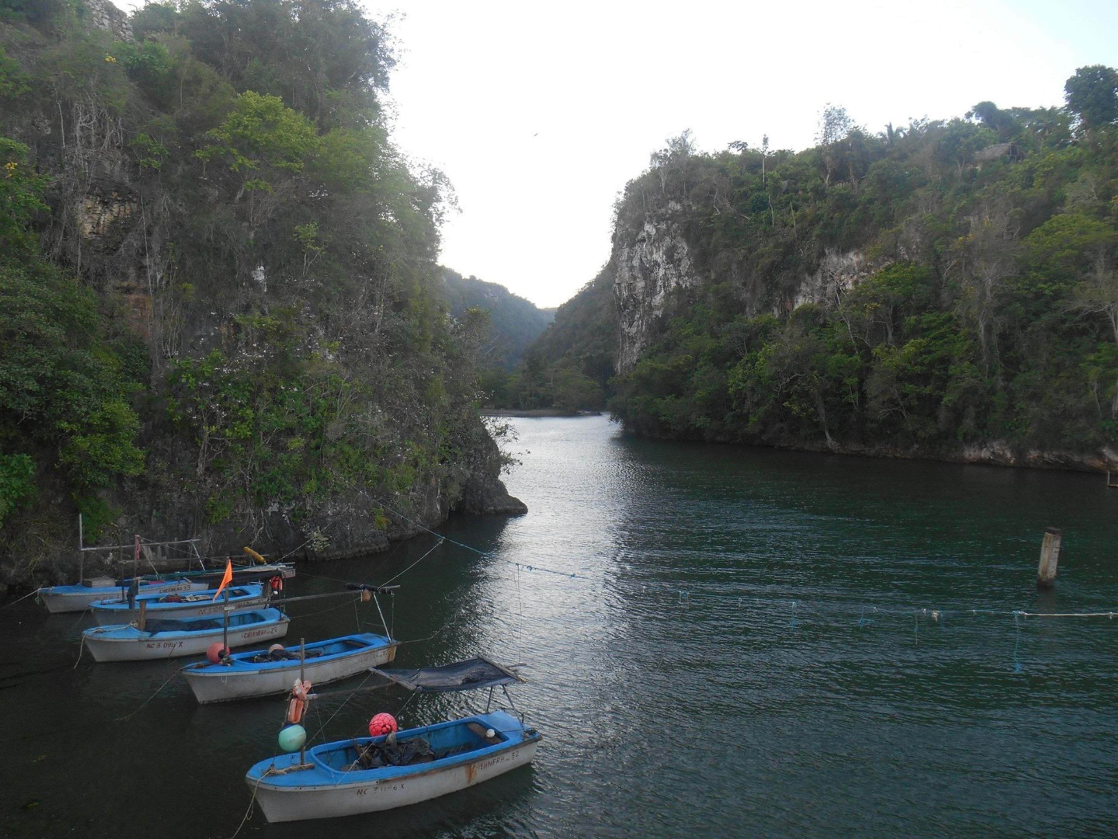 "Бока де Экскурсия по реке" Юмури. Yumuri River, Rio yumuri, Baracoa, Cuba